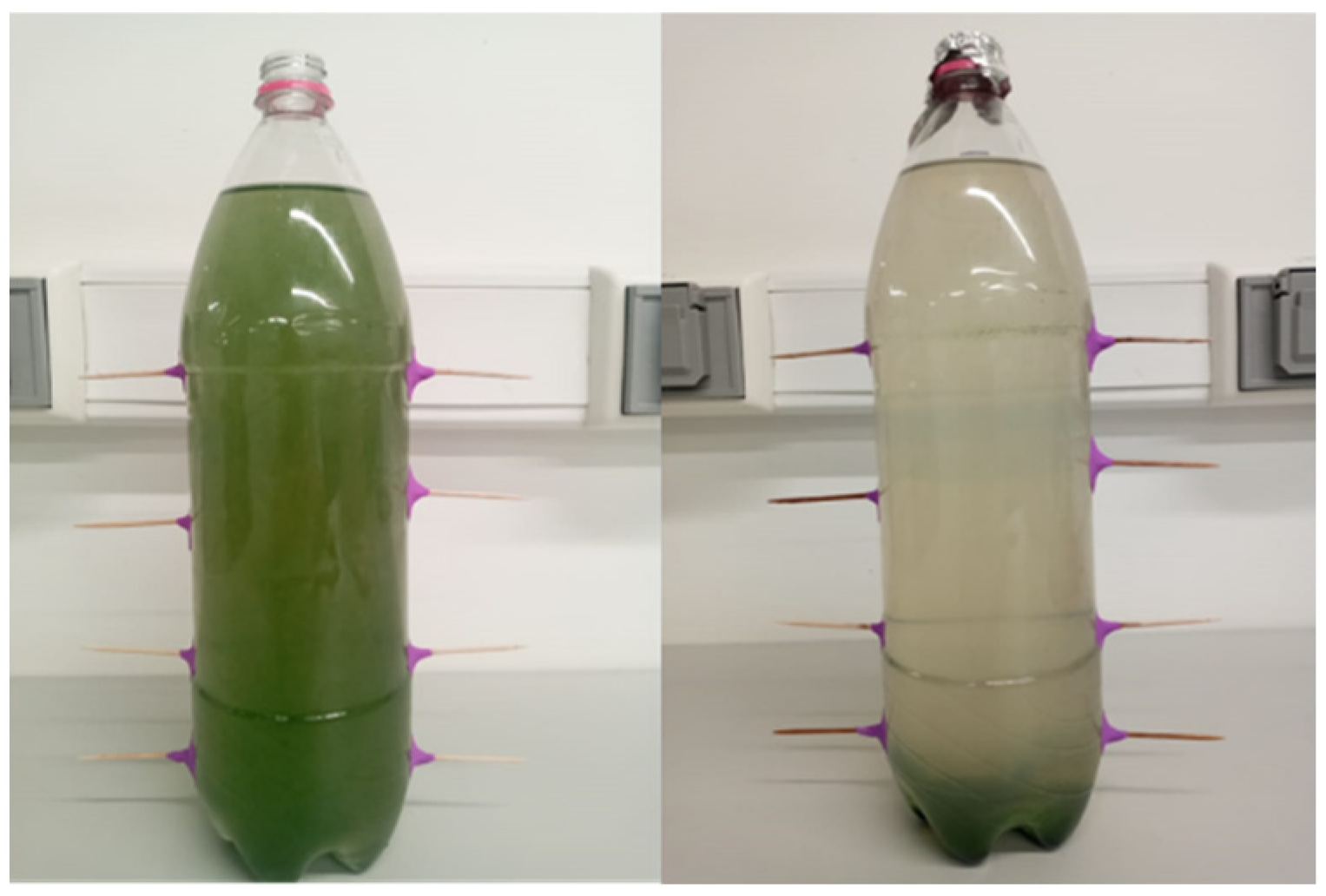 Sustainability 14 06059 g004