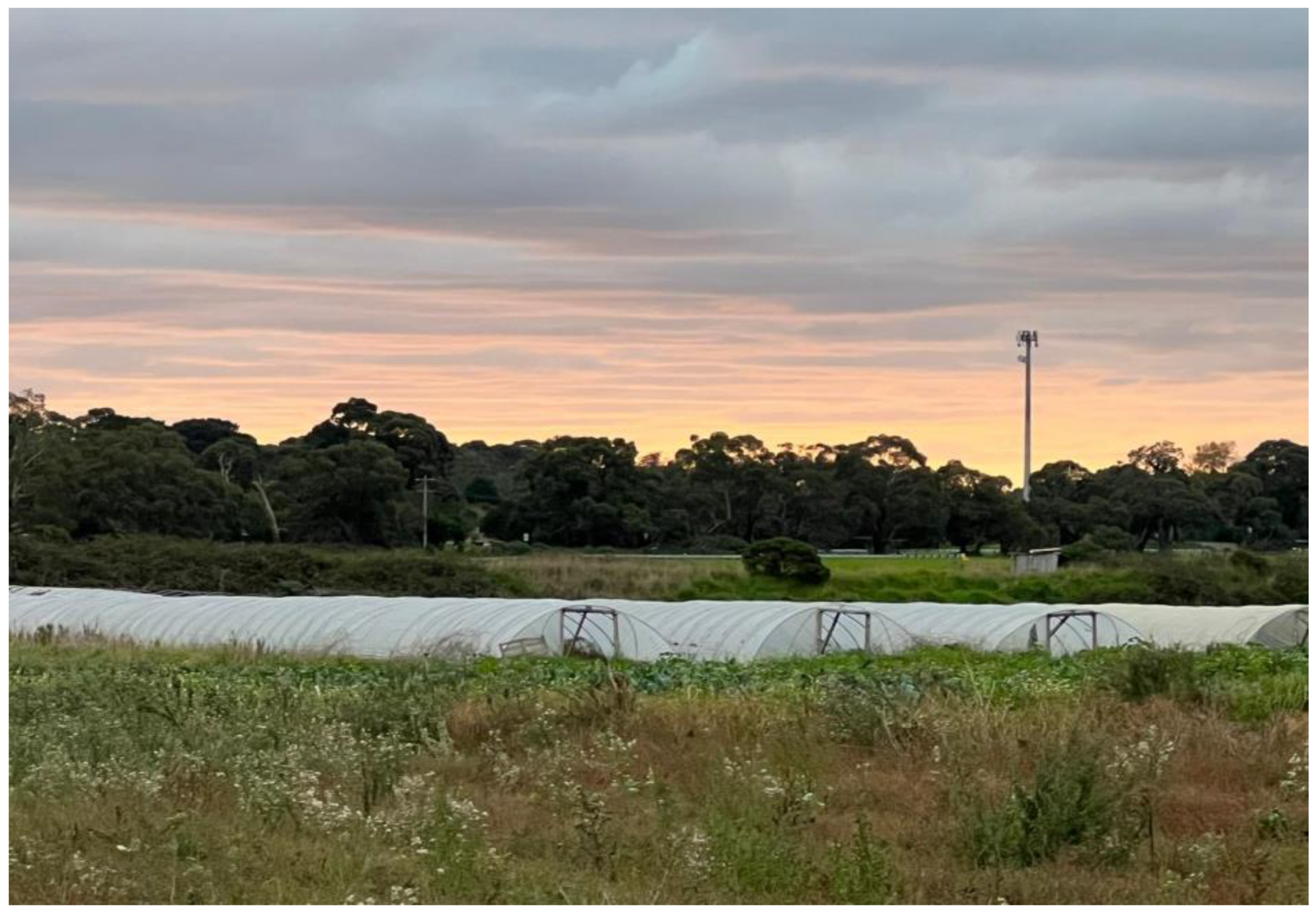 Sustainability 14 06085 g006