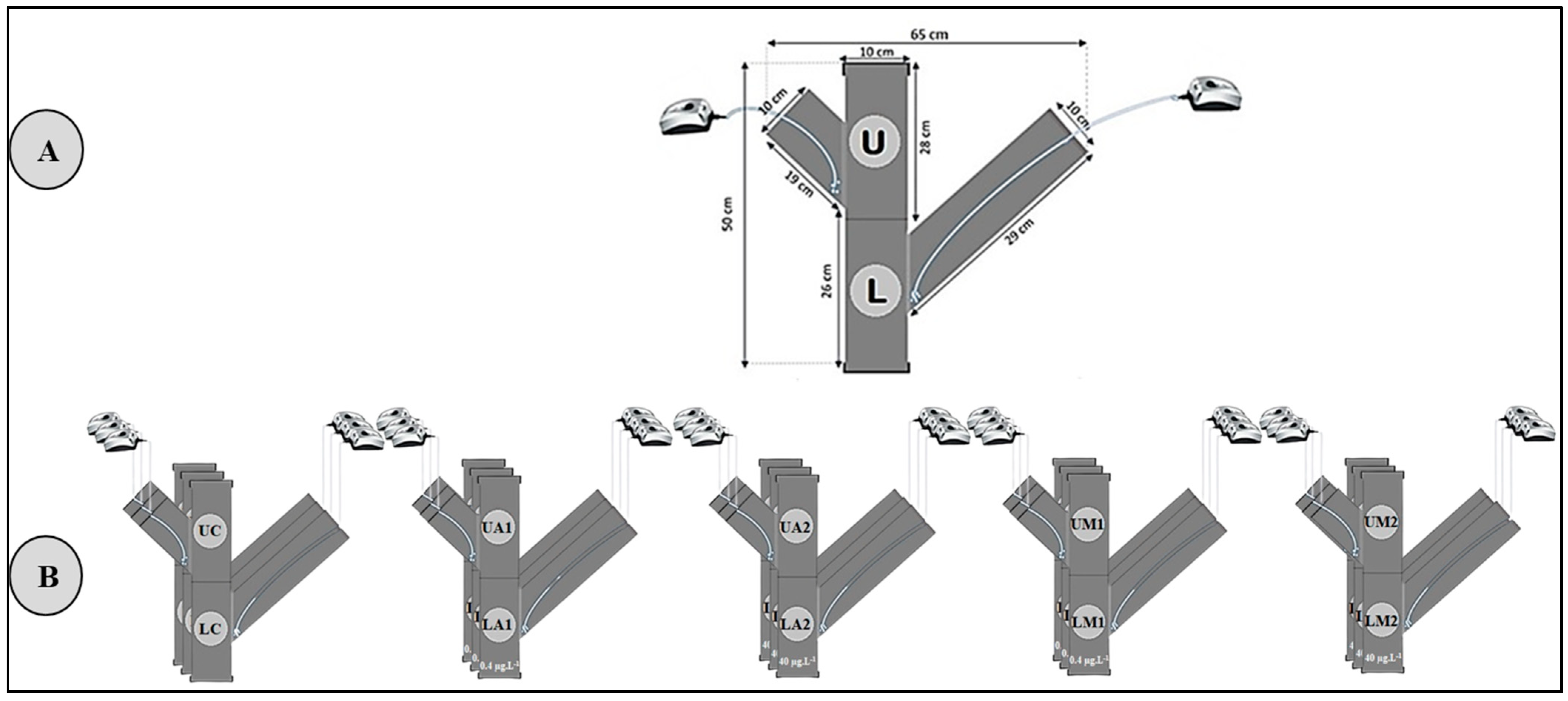 Sustainability 14 06100 g002 Sustainability 14 06100 g002
