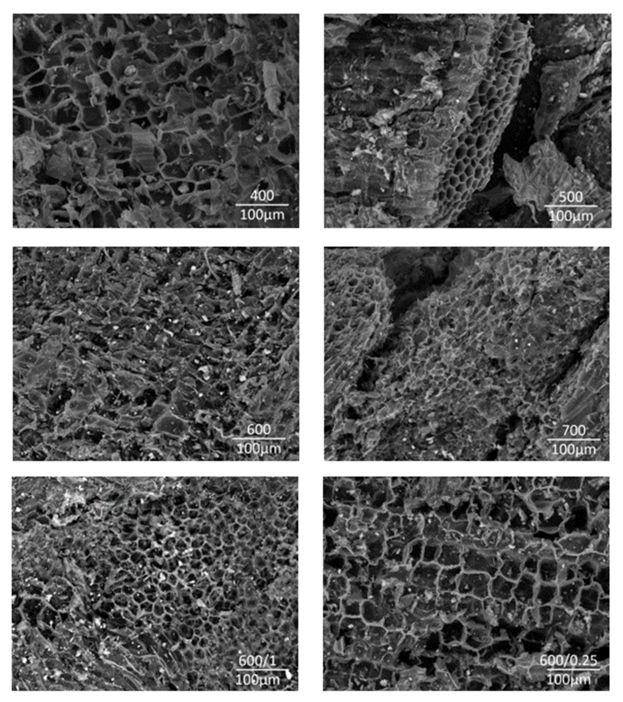 Sustainability 14 06193 g007