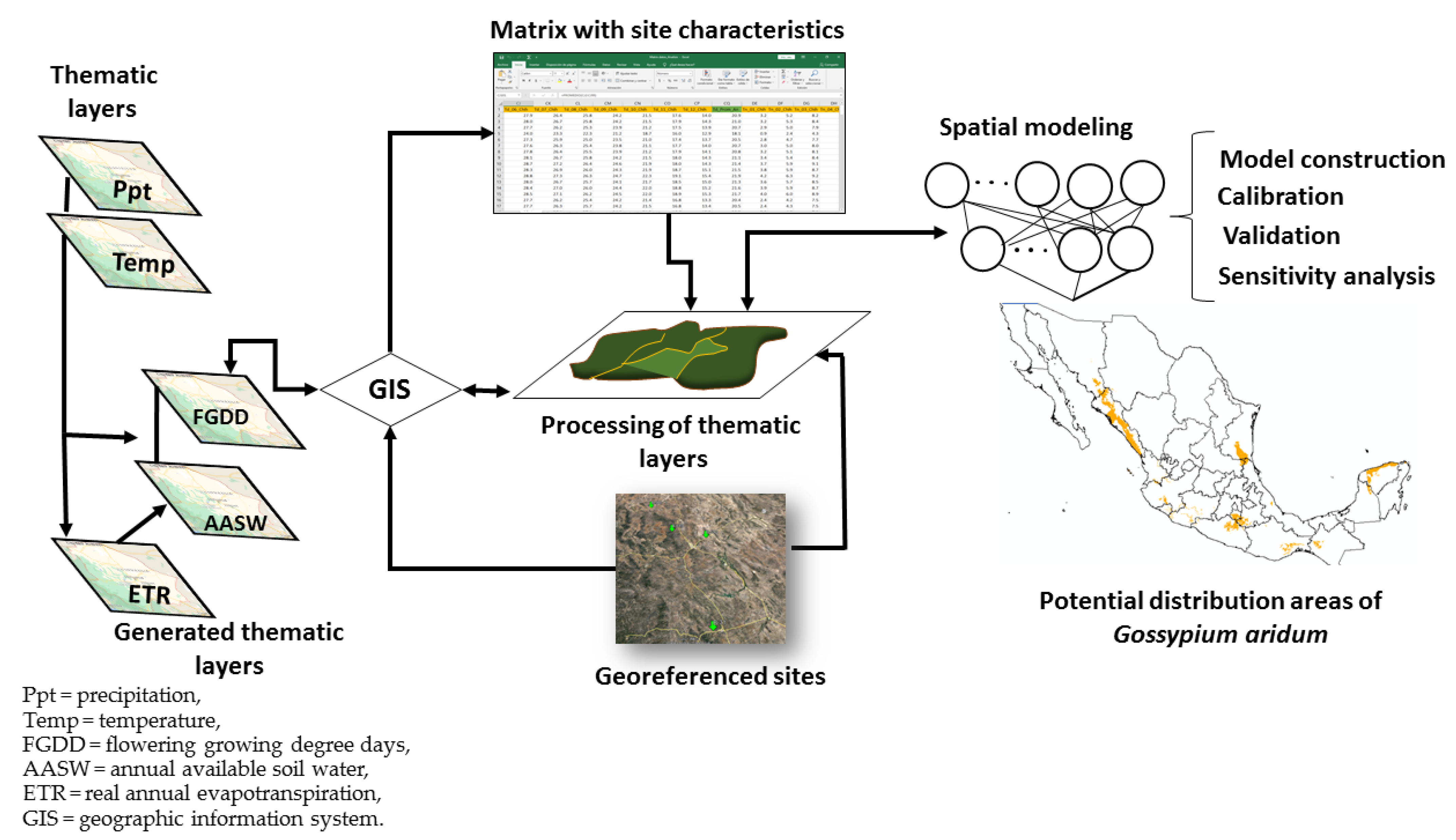 Sustainability 14 06383 g002