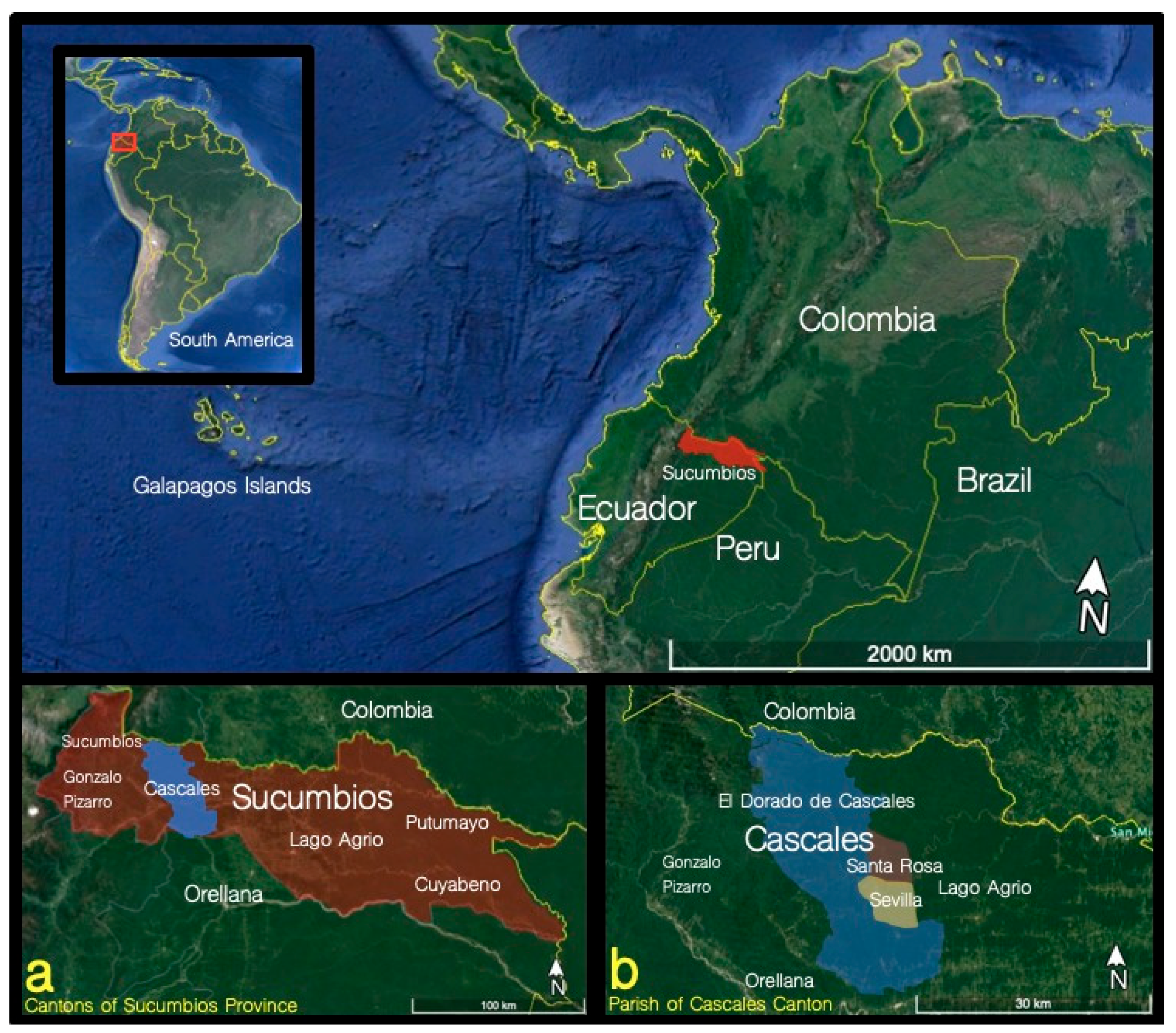 Sustainability | Free Full-Text | Artisanal and Small-Scale Gold Mining  (ASGM): Management and Socioenvironmental Impacts in the Northern Amazon of  Ecuador