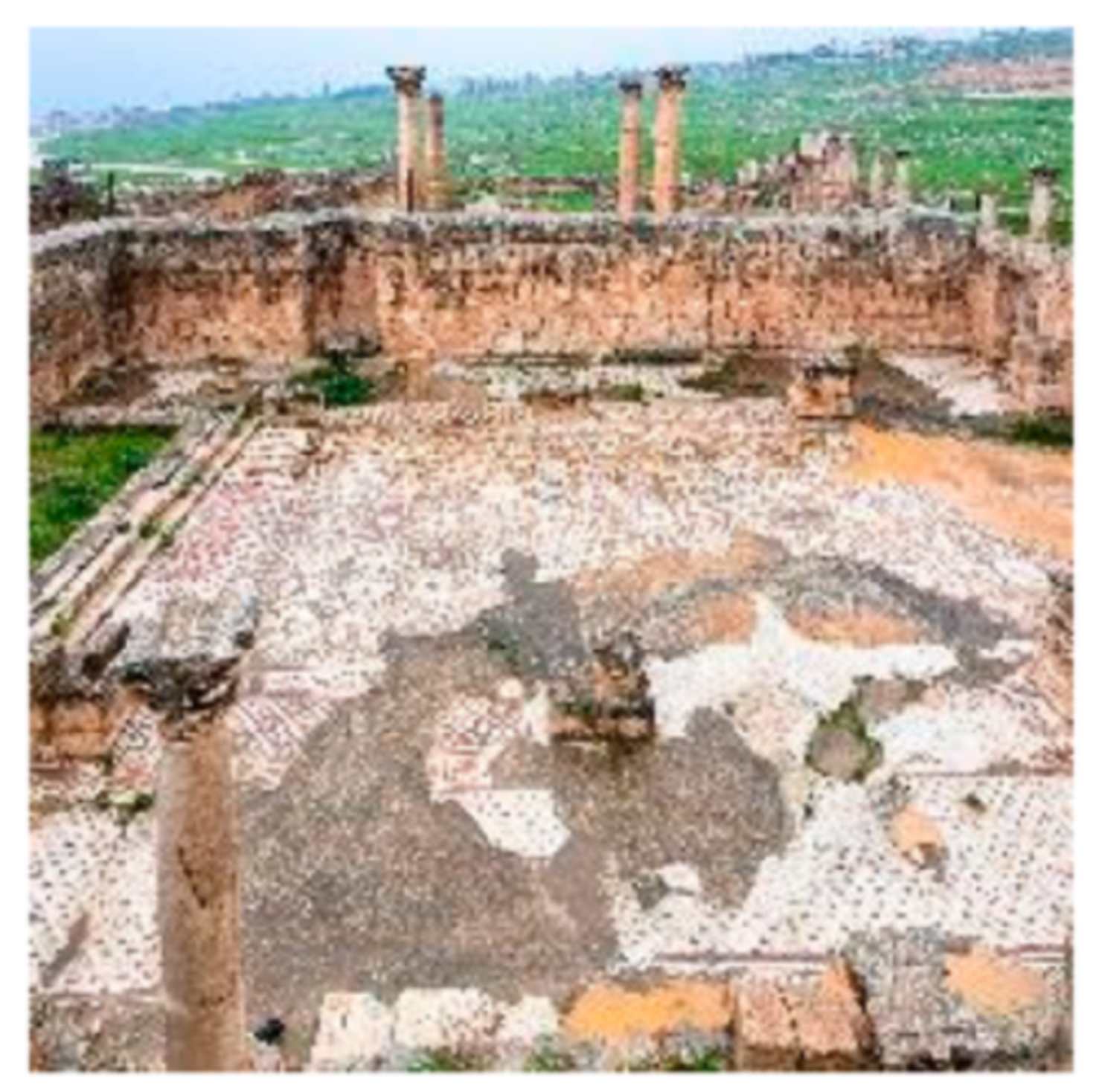 Sustainability 14 06959 i008