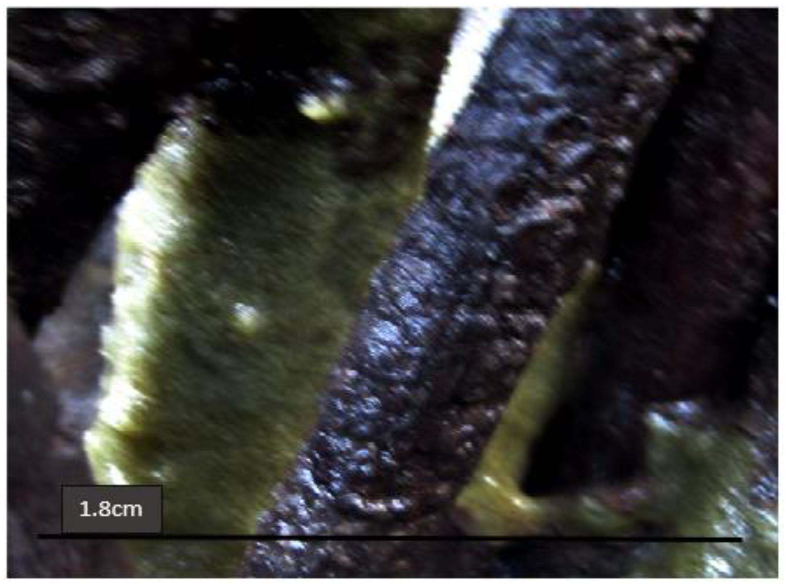 Sustainability 14 06984 g002