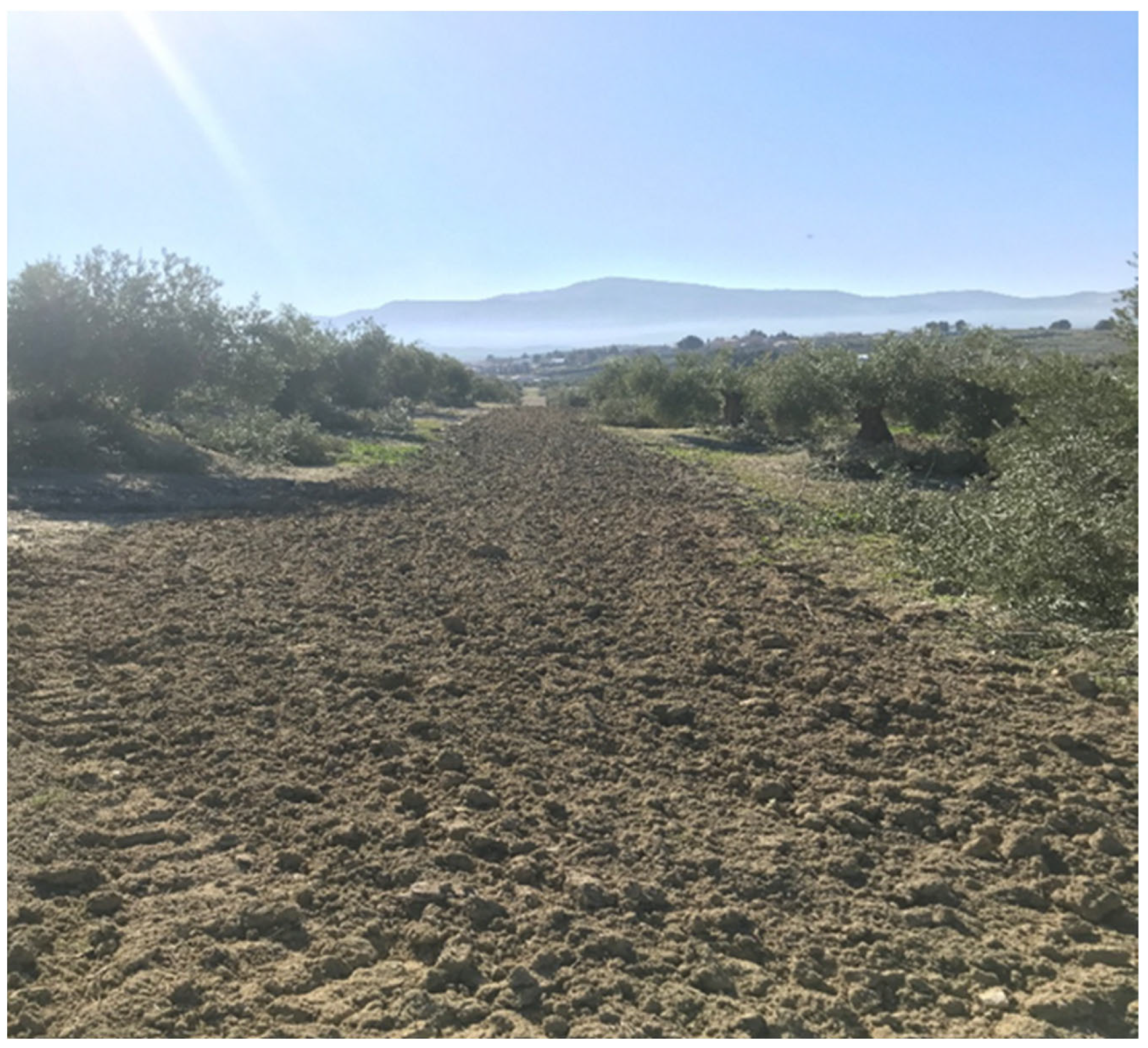 Sustainability 14 07097 g002