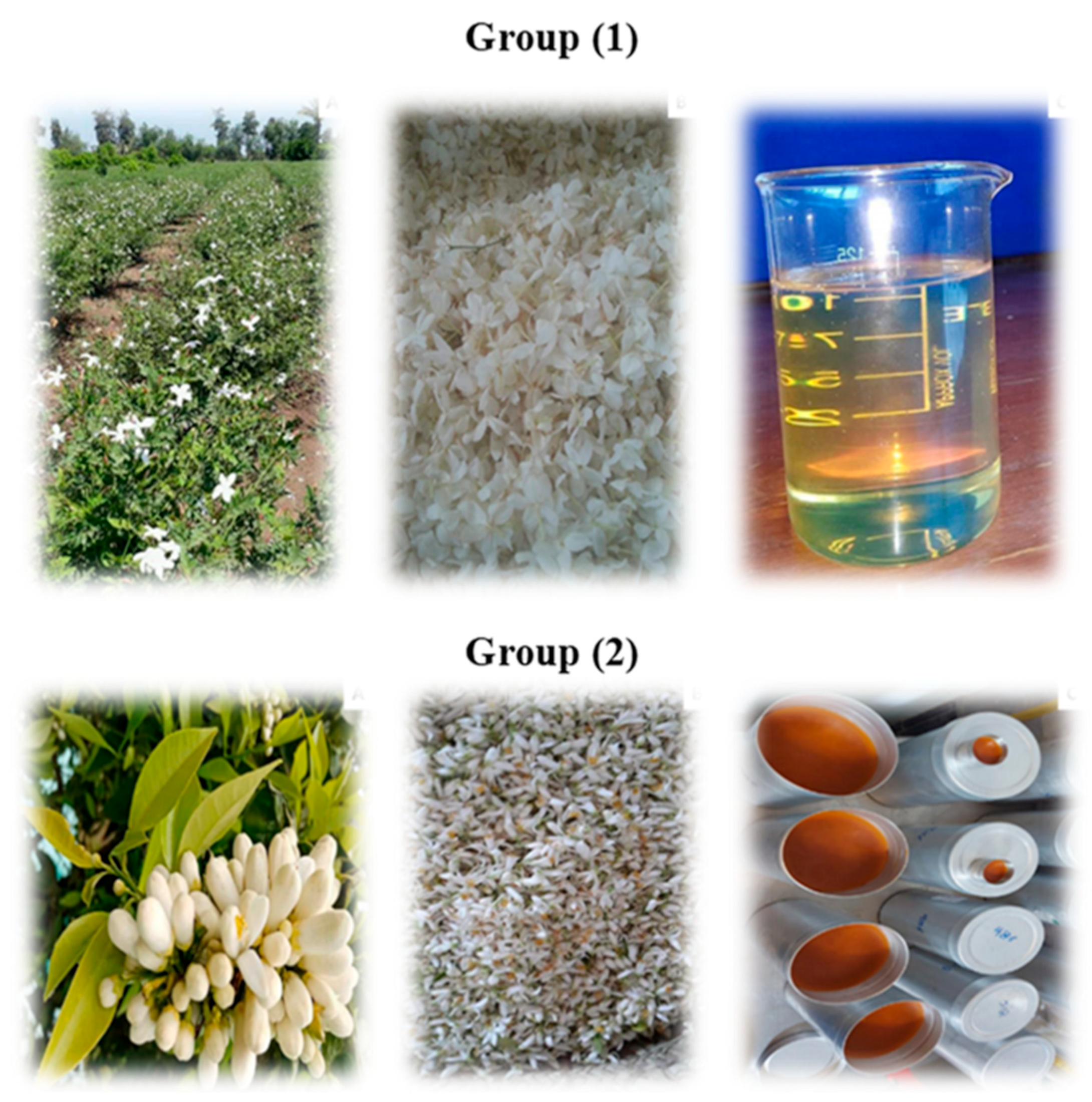 Sustainability 14 07104 g003