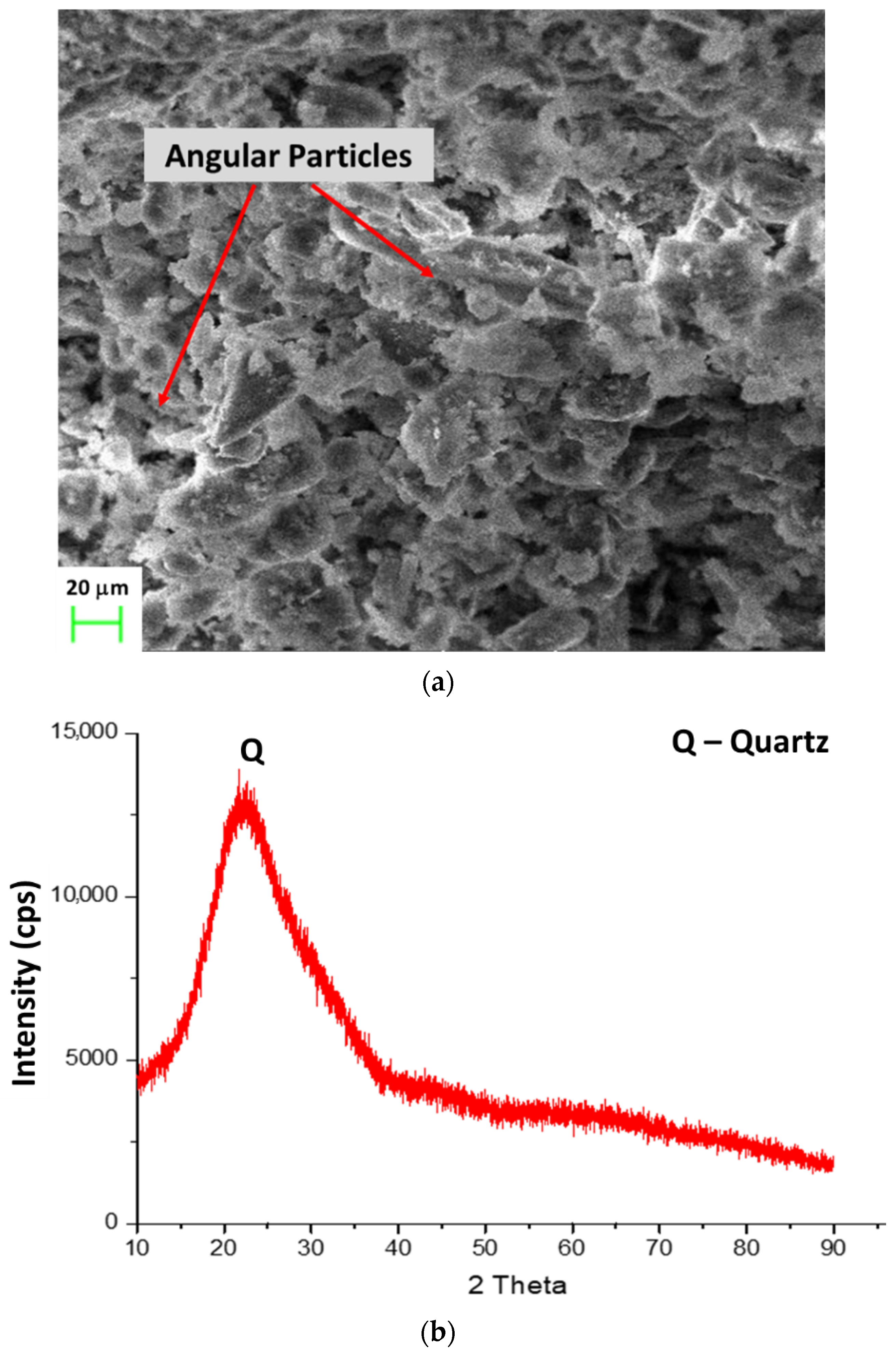 Sustainability 14 07601 g003