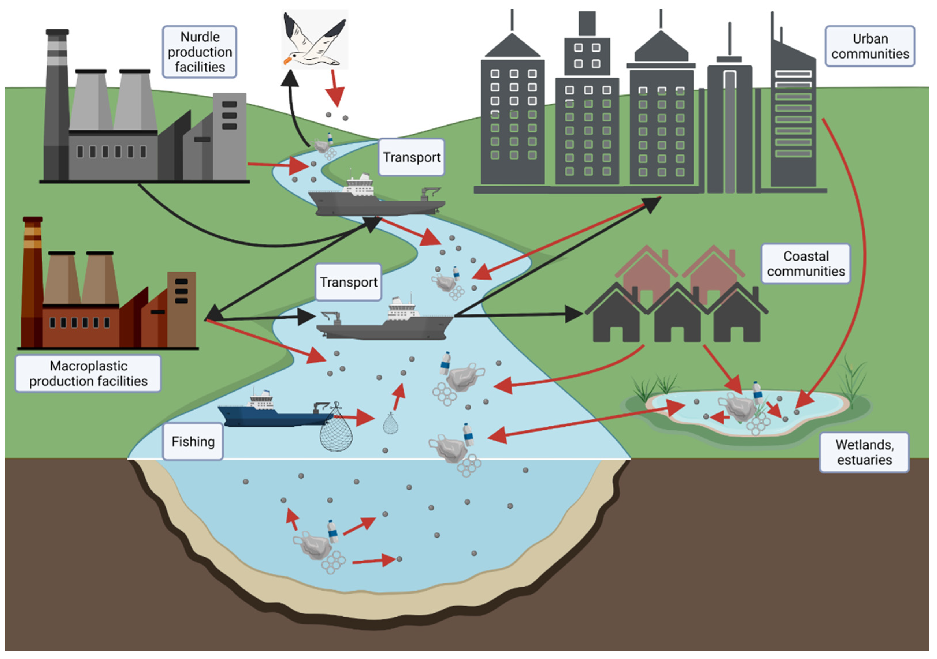 Sustainability | Free Full-Text | Microplastics in the Gulf of Mexico ...