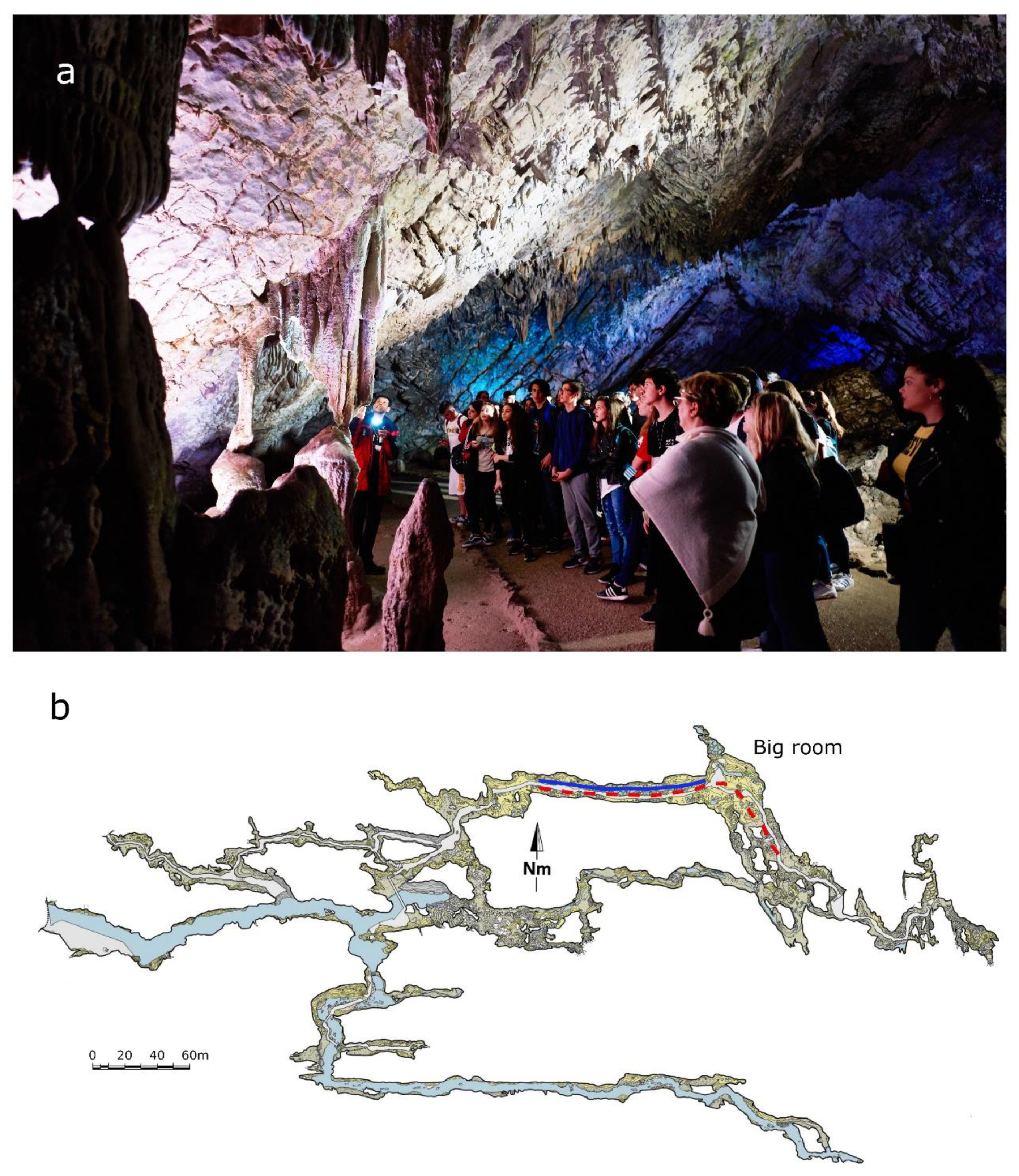 Sustainability | Free Full-Text | Sustainable Tourism and Conservation of  Underground Ecosystems through Airflow and Particle Distribution Modeling |  HTML