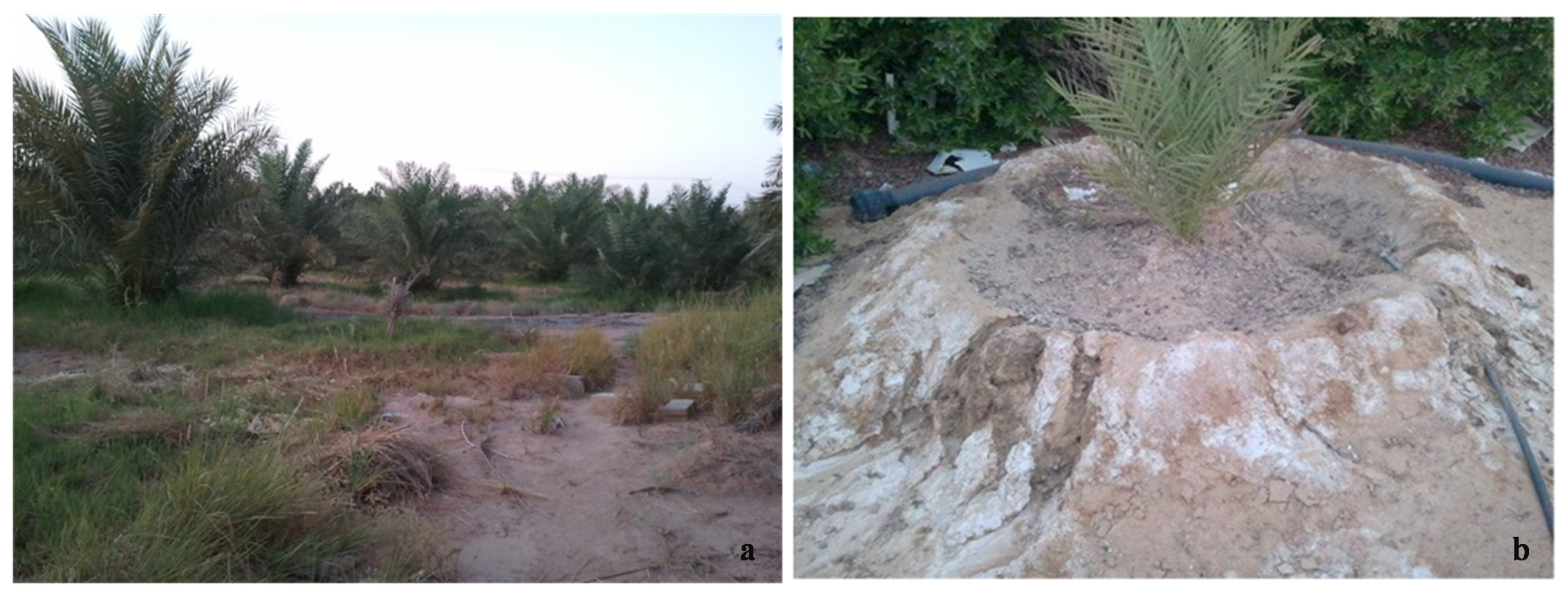 Sustainability 14 07991 g003