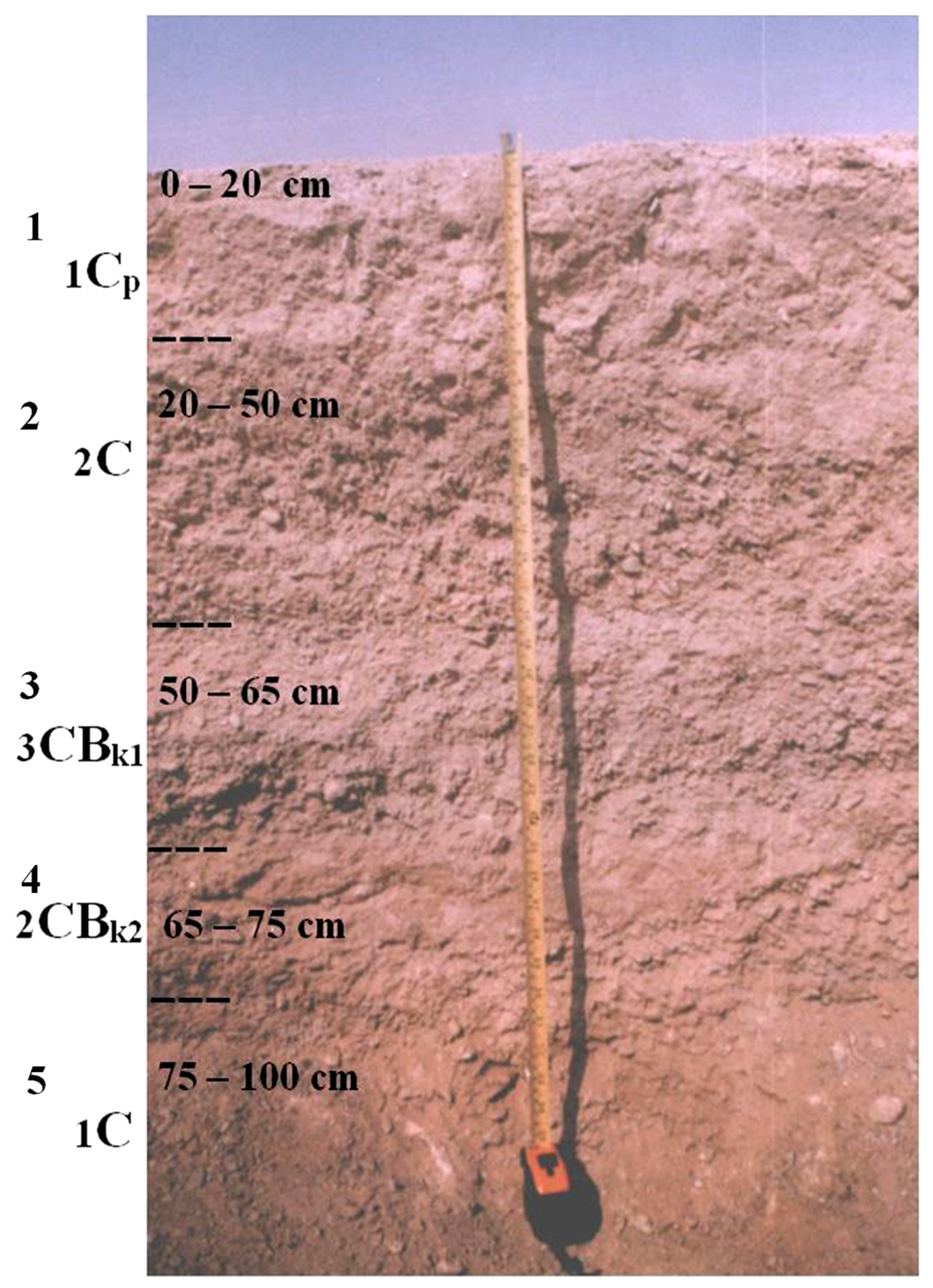 Sustainability 14 07991 g004