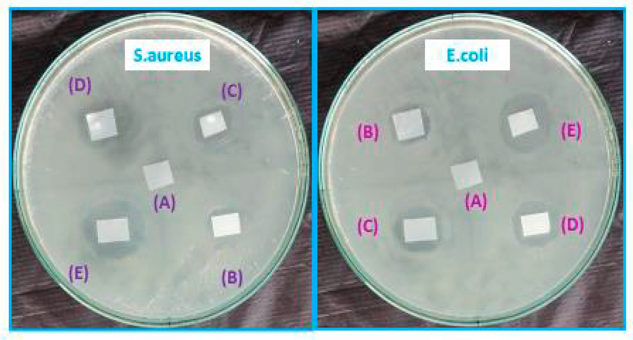 Sustainability 14 08073 g008