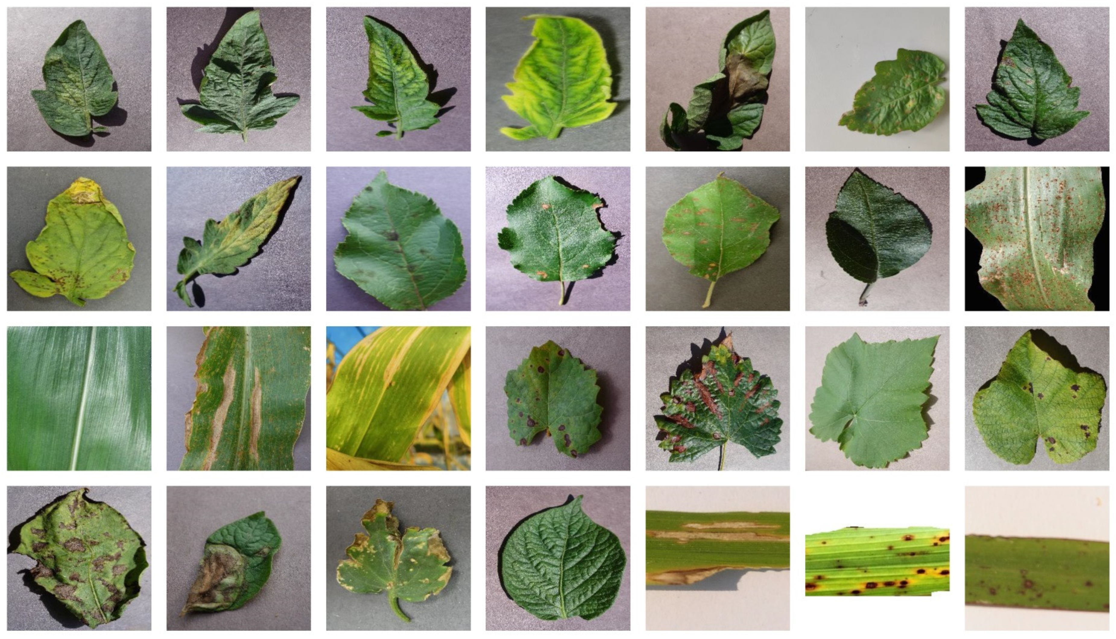 Sustainability 14 08915 g002