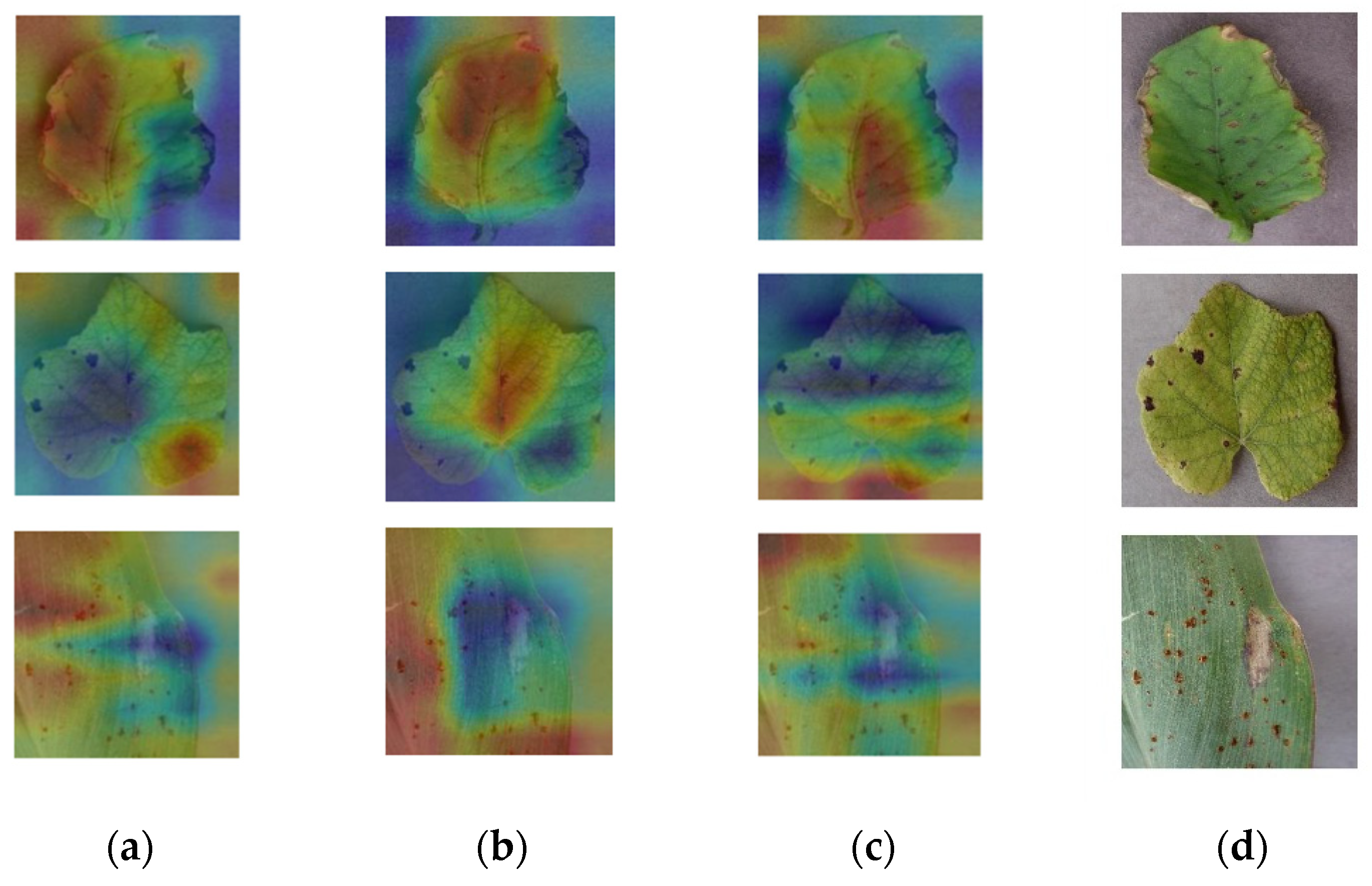 Sustainability 14 08915 g011