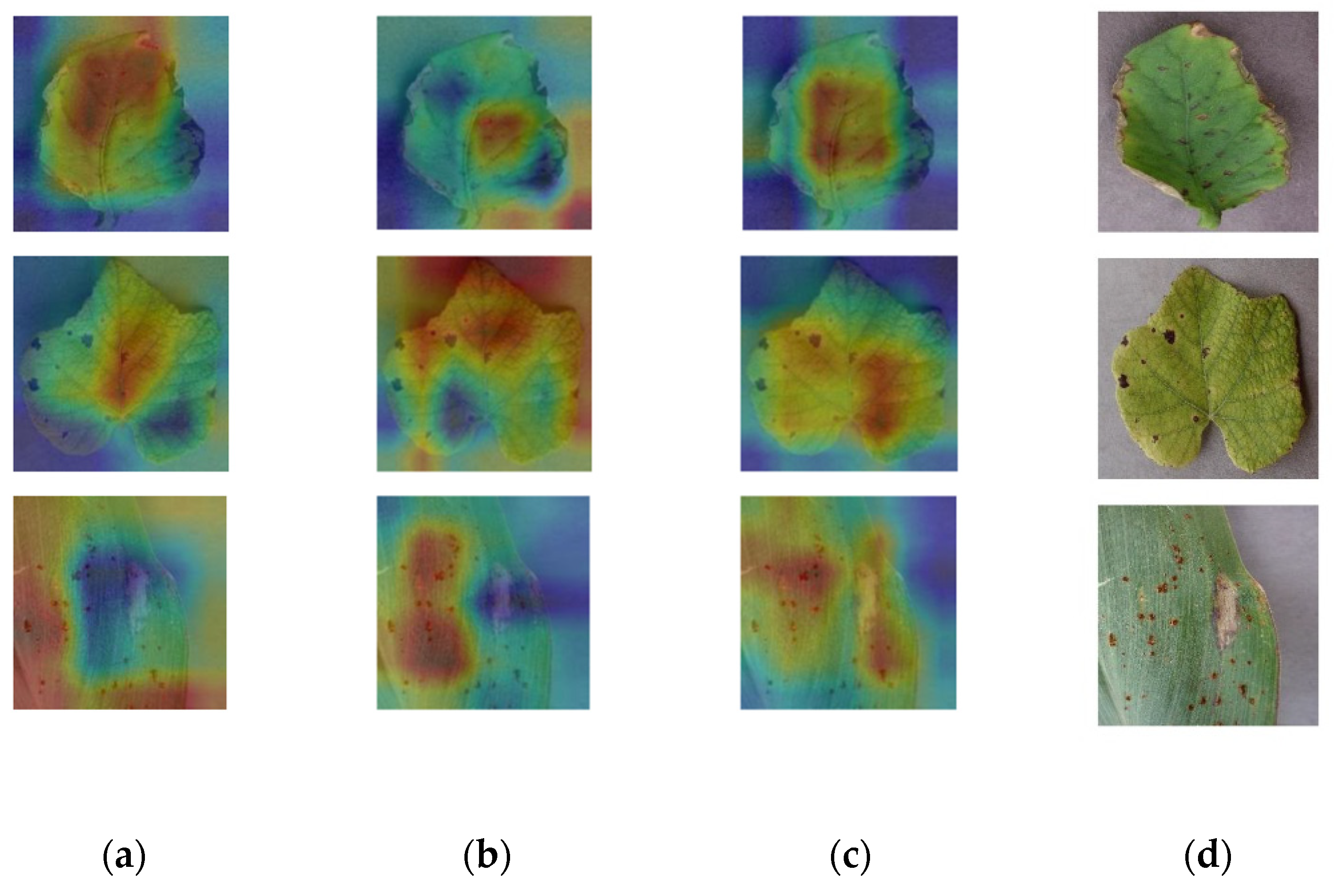 Sustainability 14 08915 g013