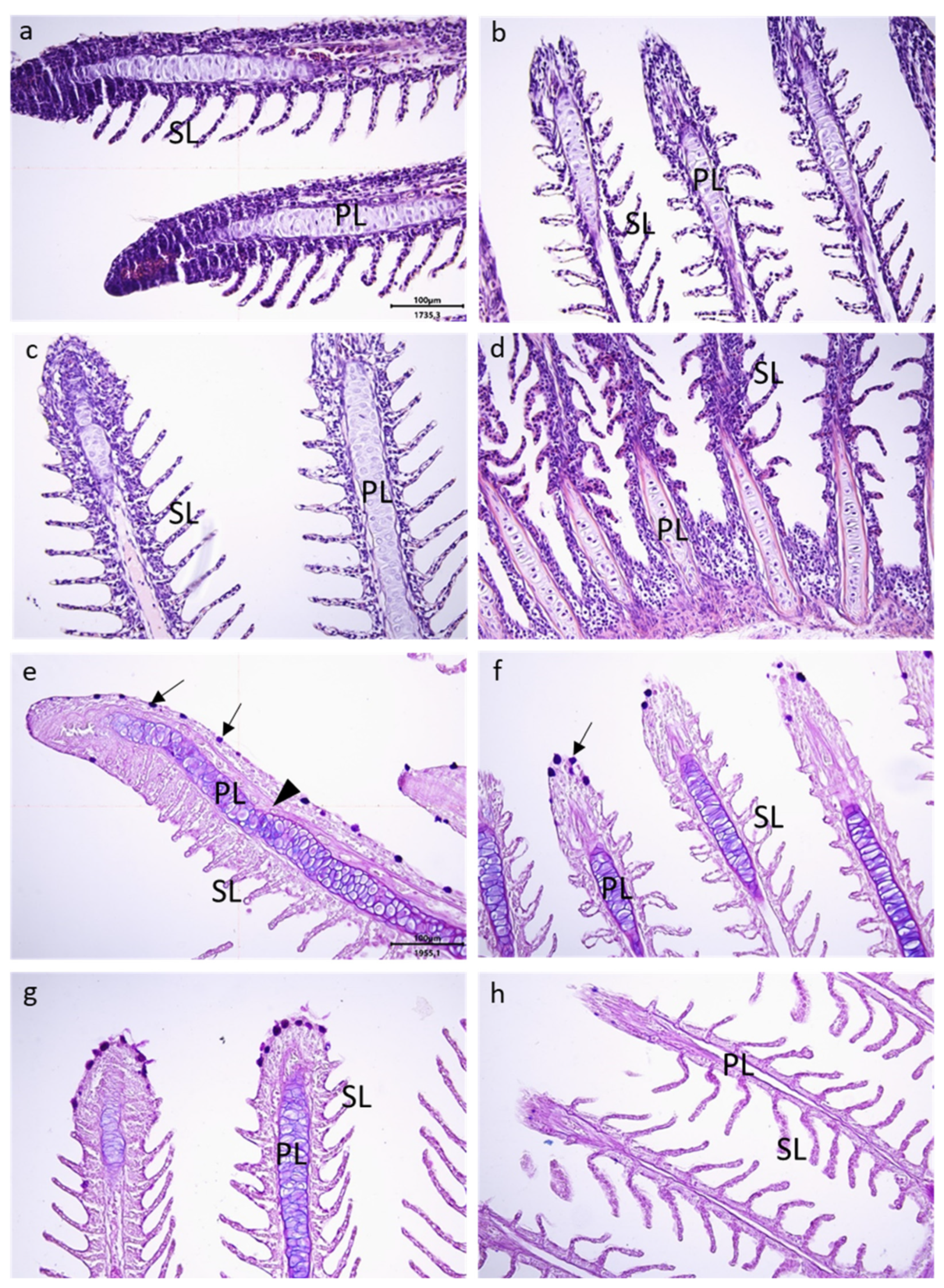 Sustainability 14 09067 g003