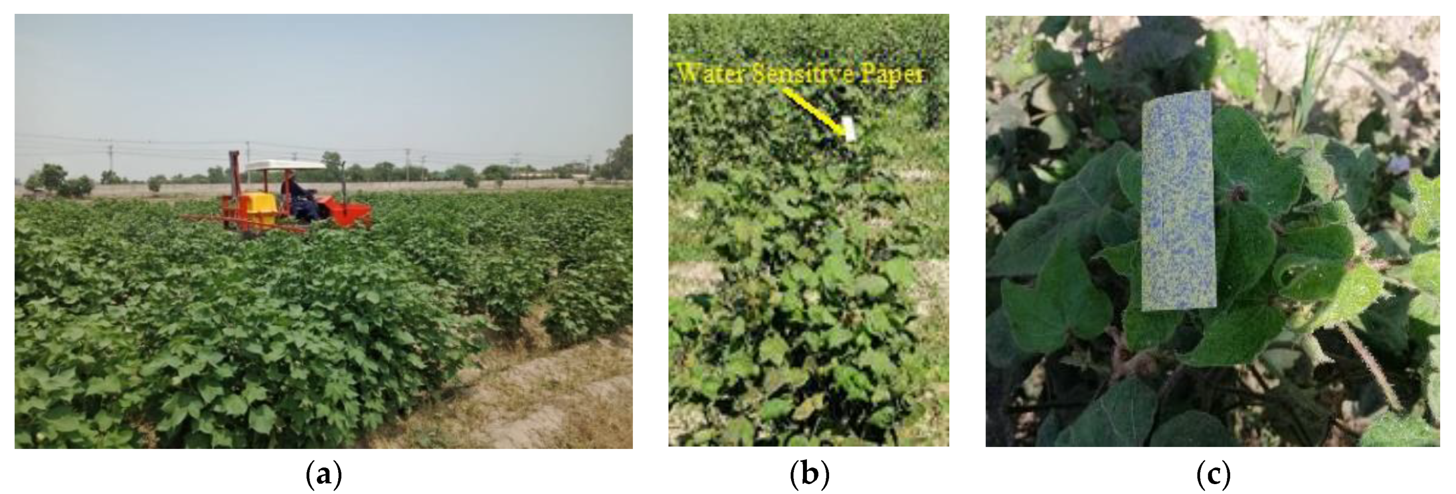 Sustainability 14 09204 g006