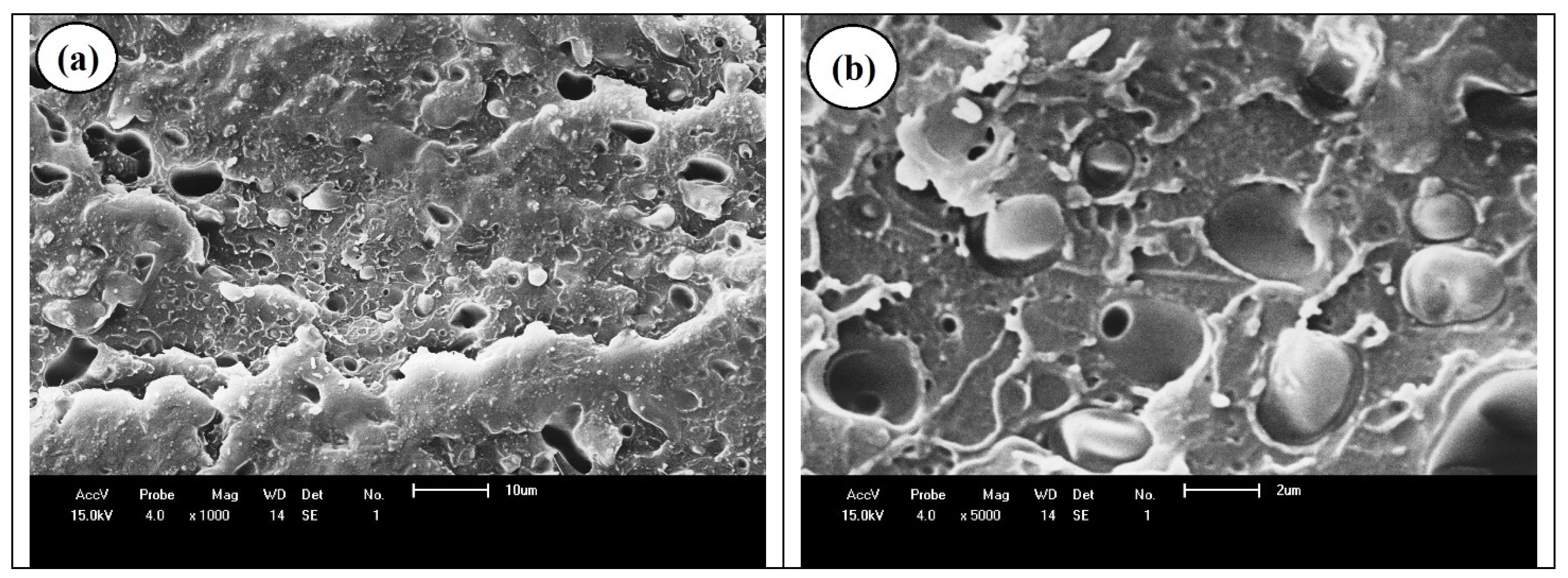 Sustainability 14 09254 g010