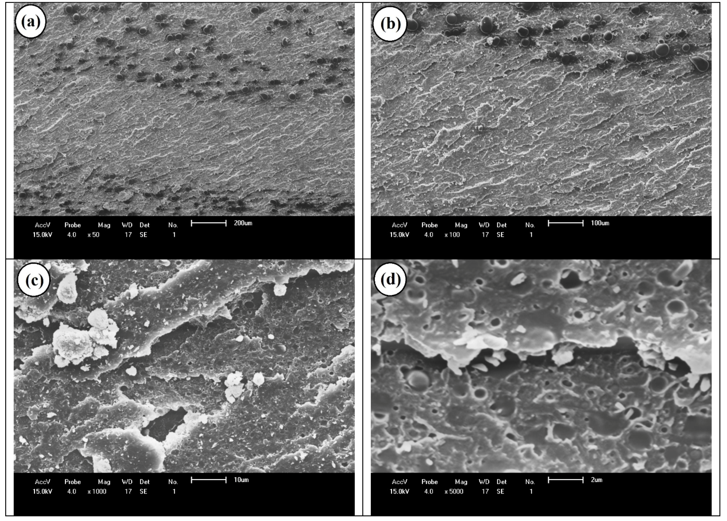 Sustainability 14 09254 g012