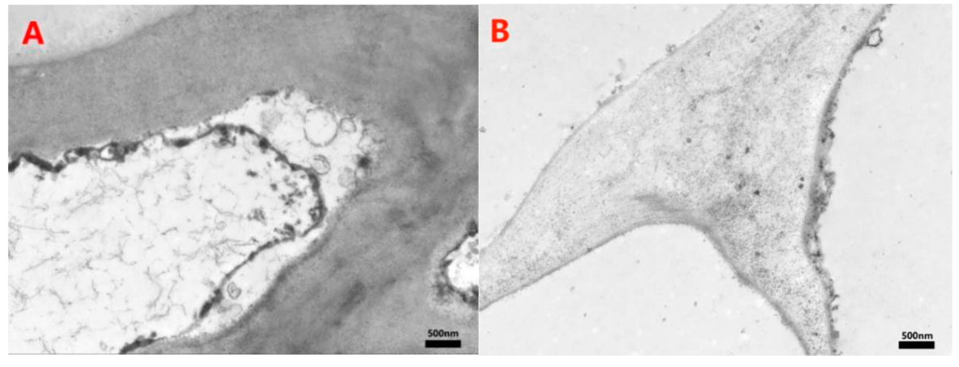 Sustainability 14 09568 g006a