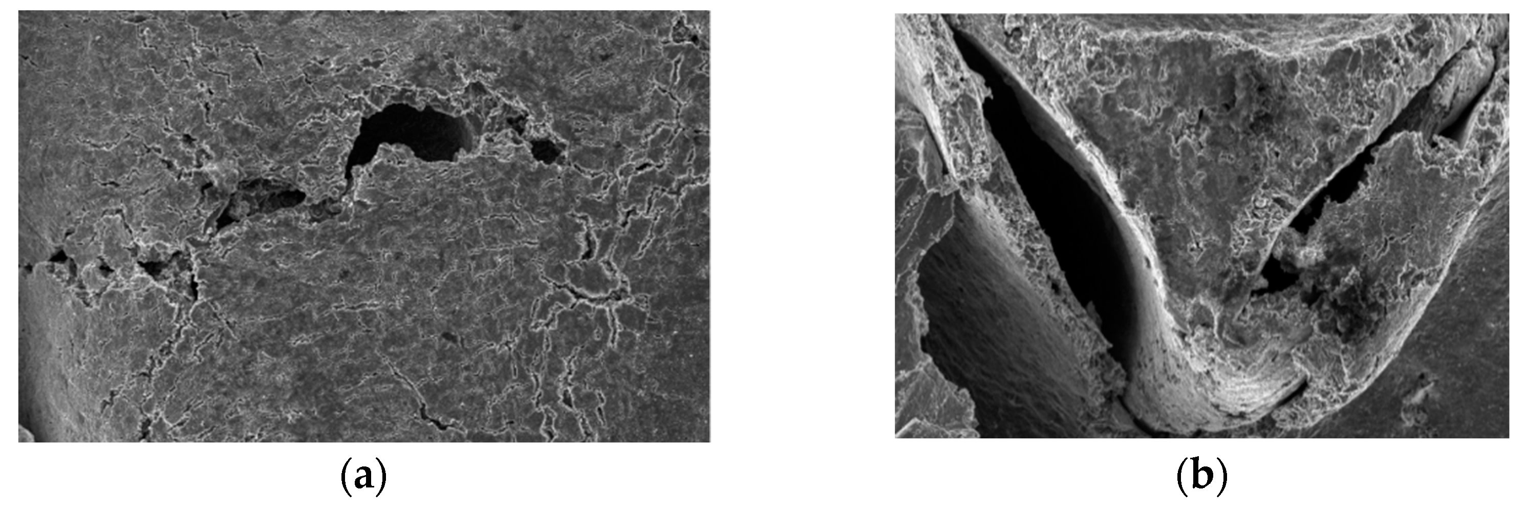 Sustainability 14 09850 g005