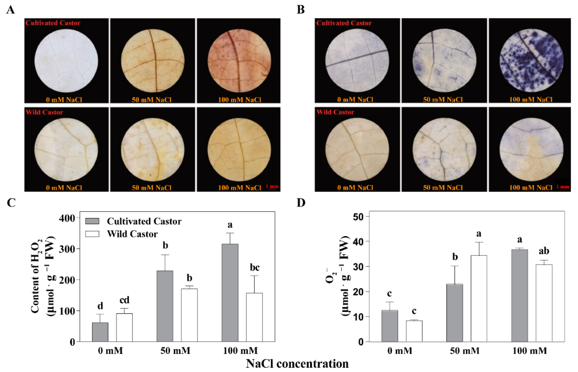 Sustainability 14 10032 g002