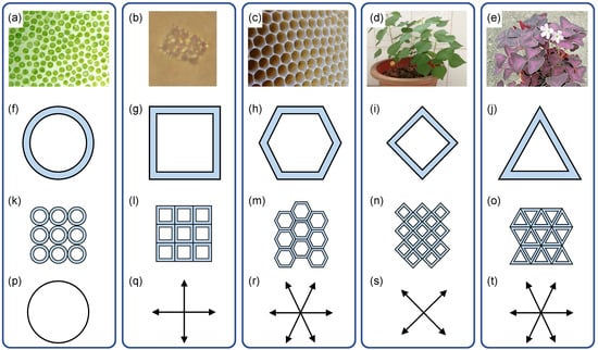 Sustainability | Free Full-Text | Bioinspired Pattern-Driven