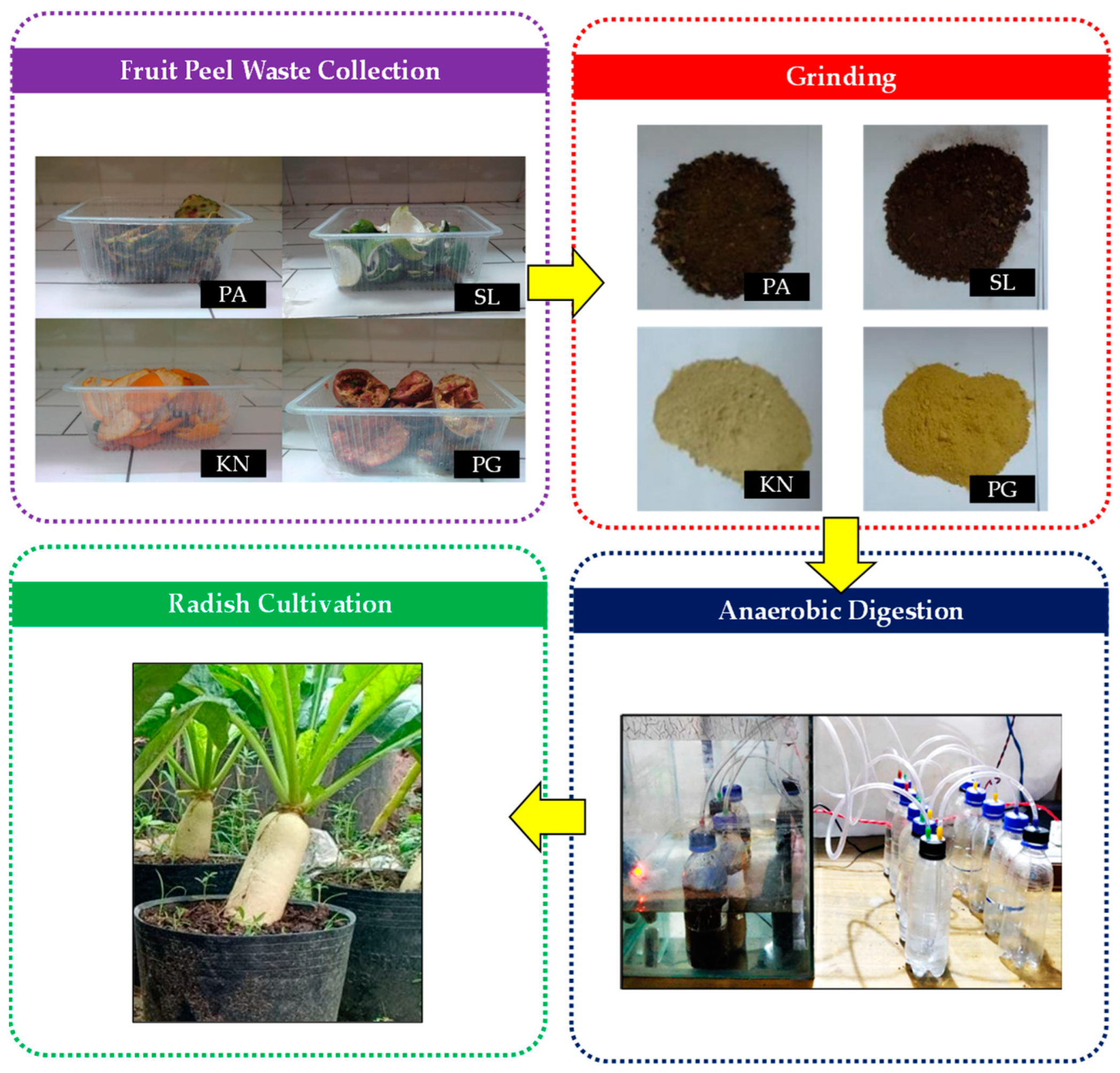 Sustainability 14 10224 g001