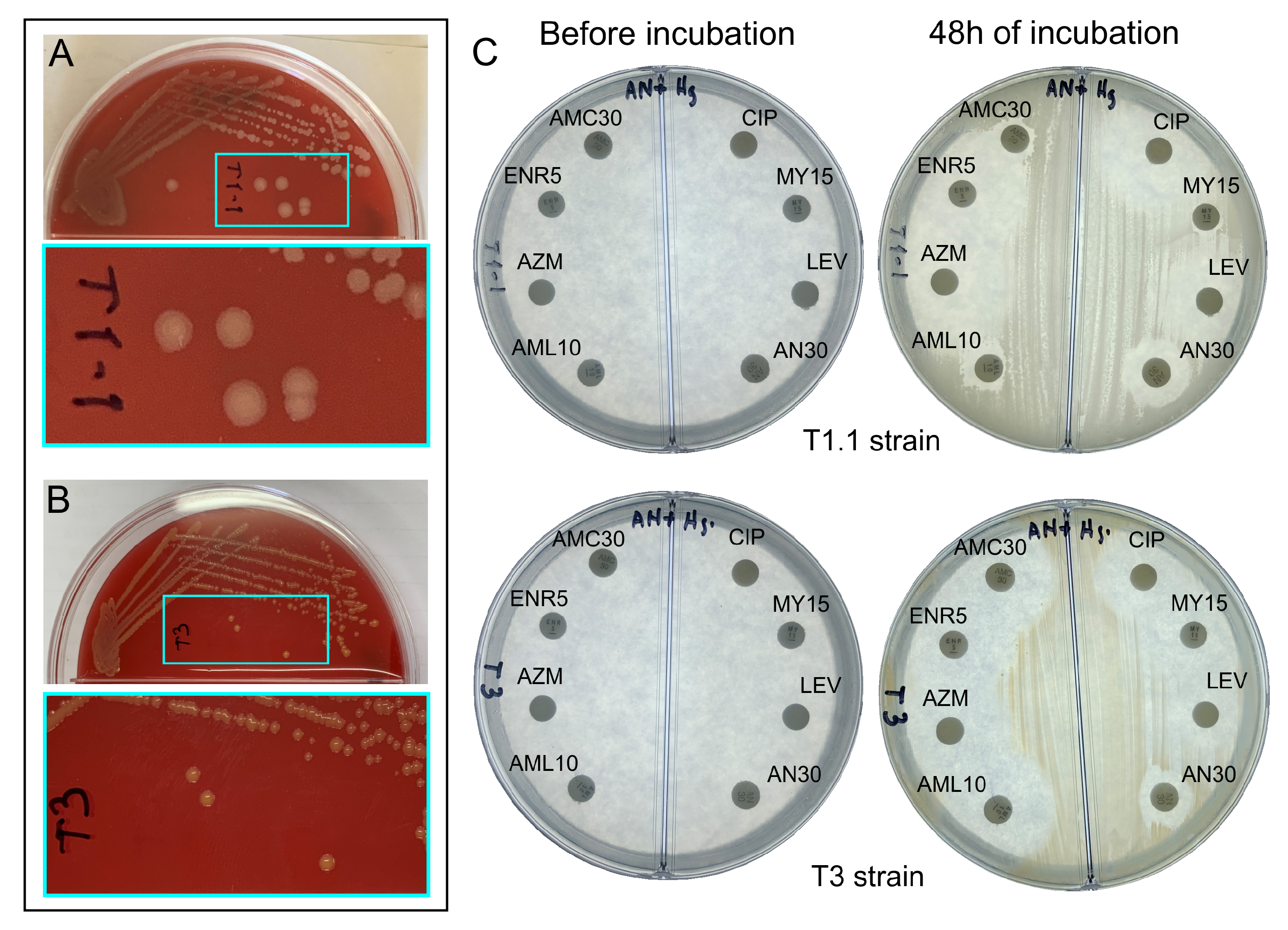 Sustainability 14 10272 g003 Sustainability 14 10272 g003