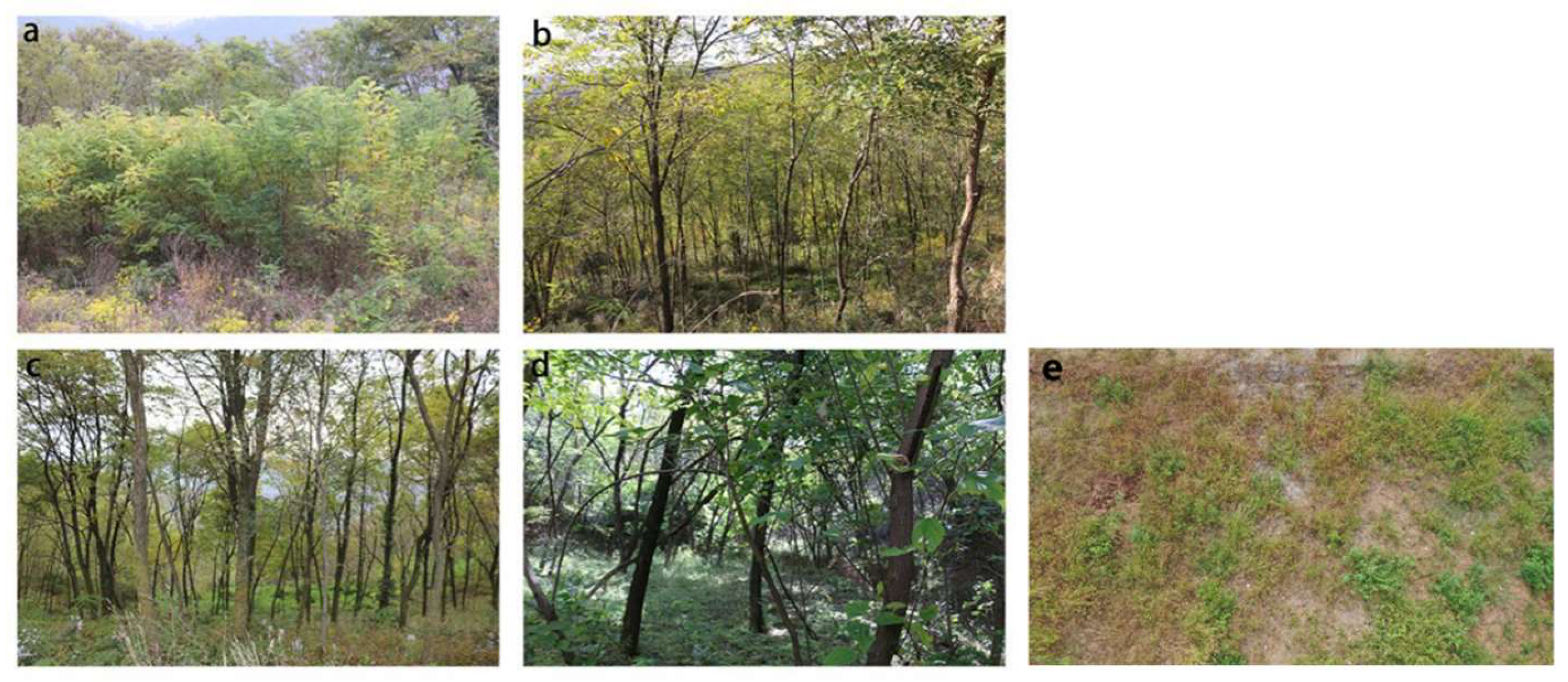 Sustainability 14 10403 g002