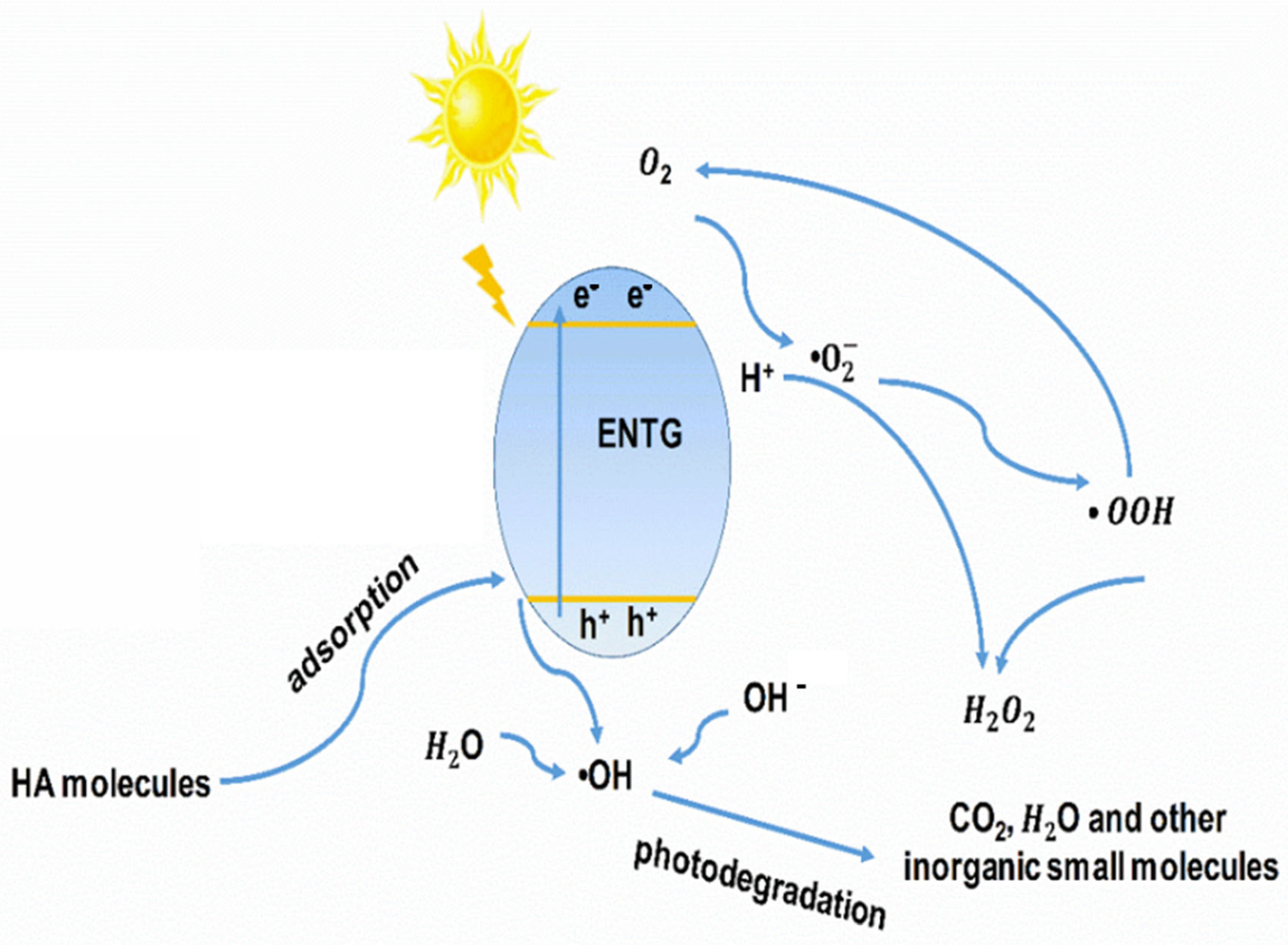 Sustainability 14 10614 g009