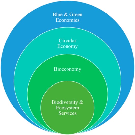 Sustainability | Free Full-Text | Bioeconomy and Circular Economy  Approaches Need to Enhance the Focus on Biodiversity to Achieve  Sustainability