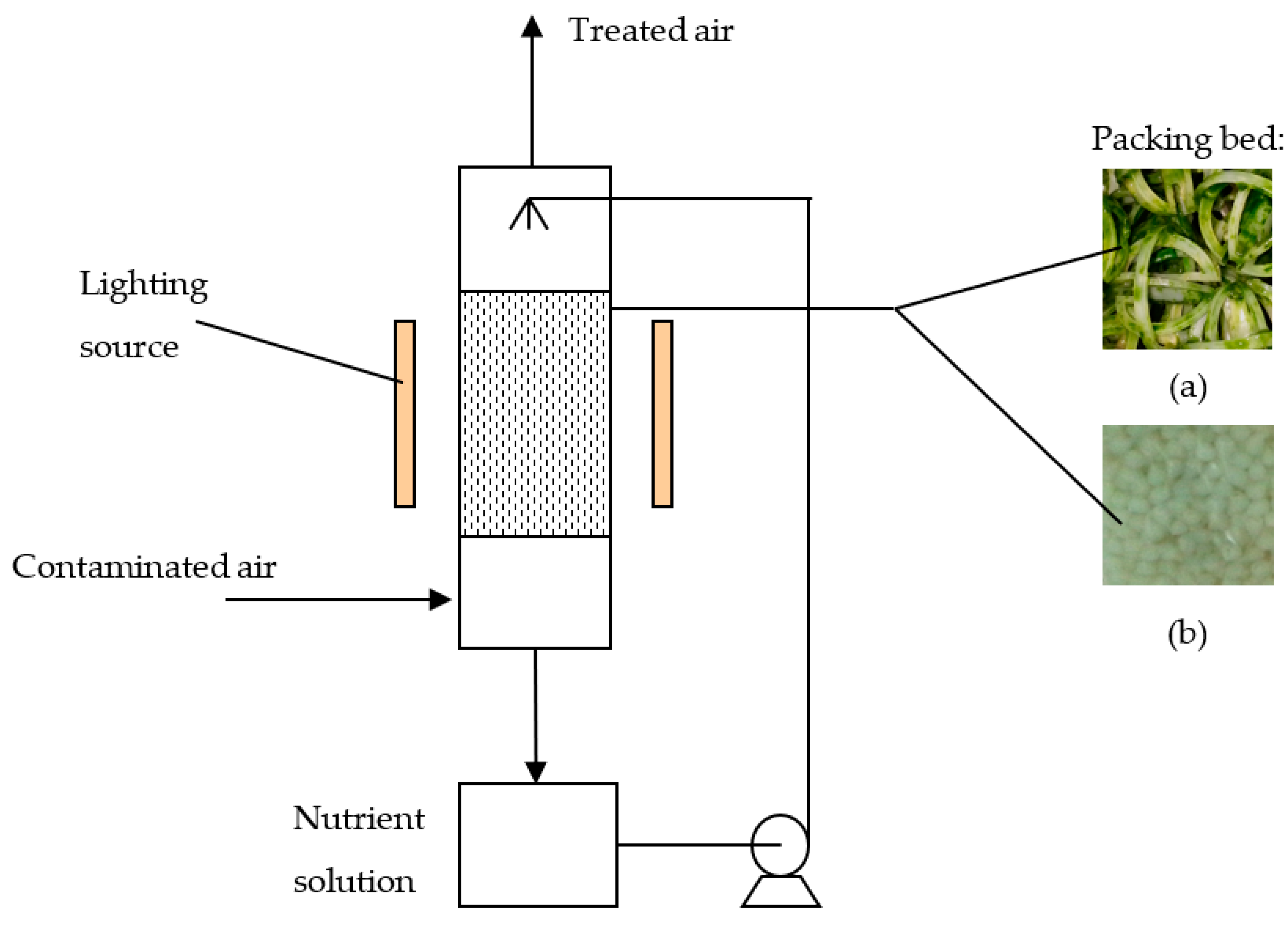 Sustainability 14 10737 g001
