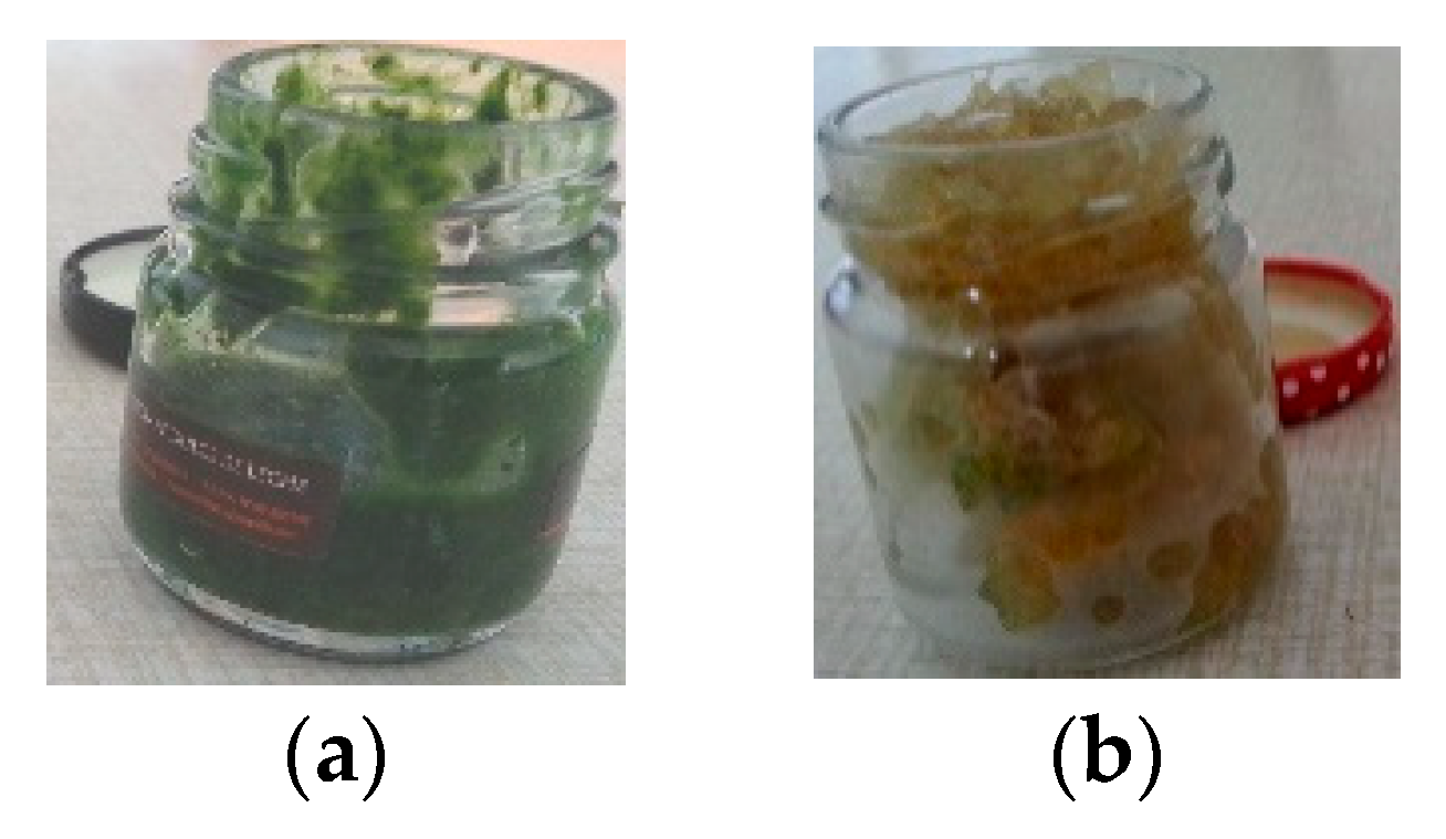 Sustainability 14 10737 g002