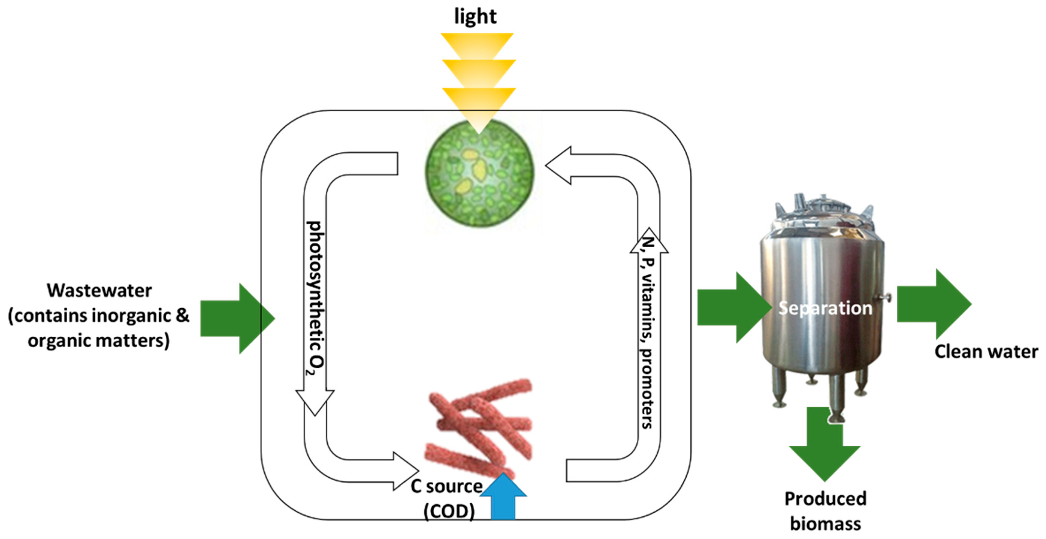 Sustainability 14 10759 g002