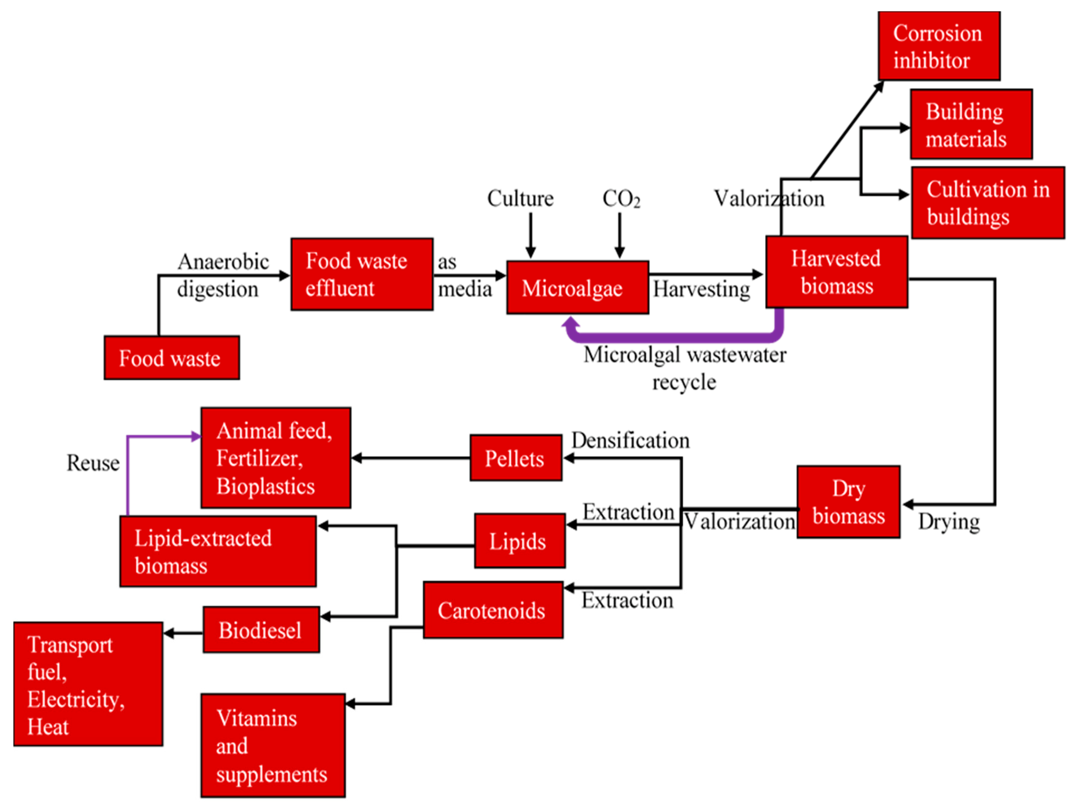 Sustainability 14 10759 g003
