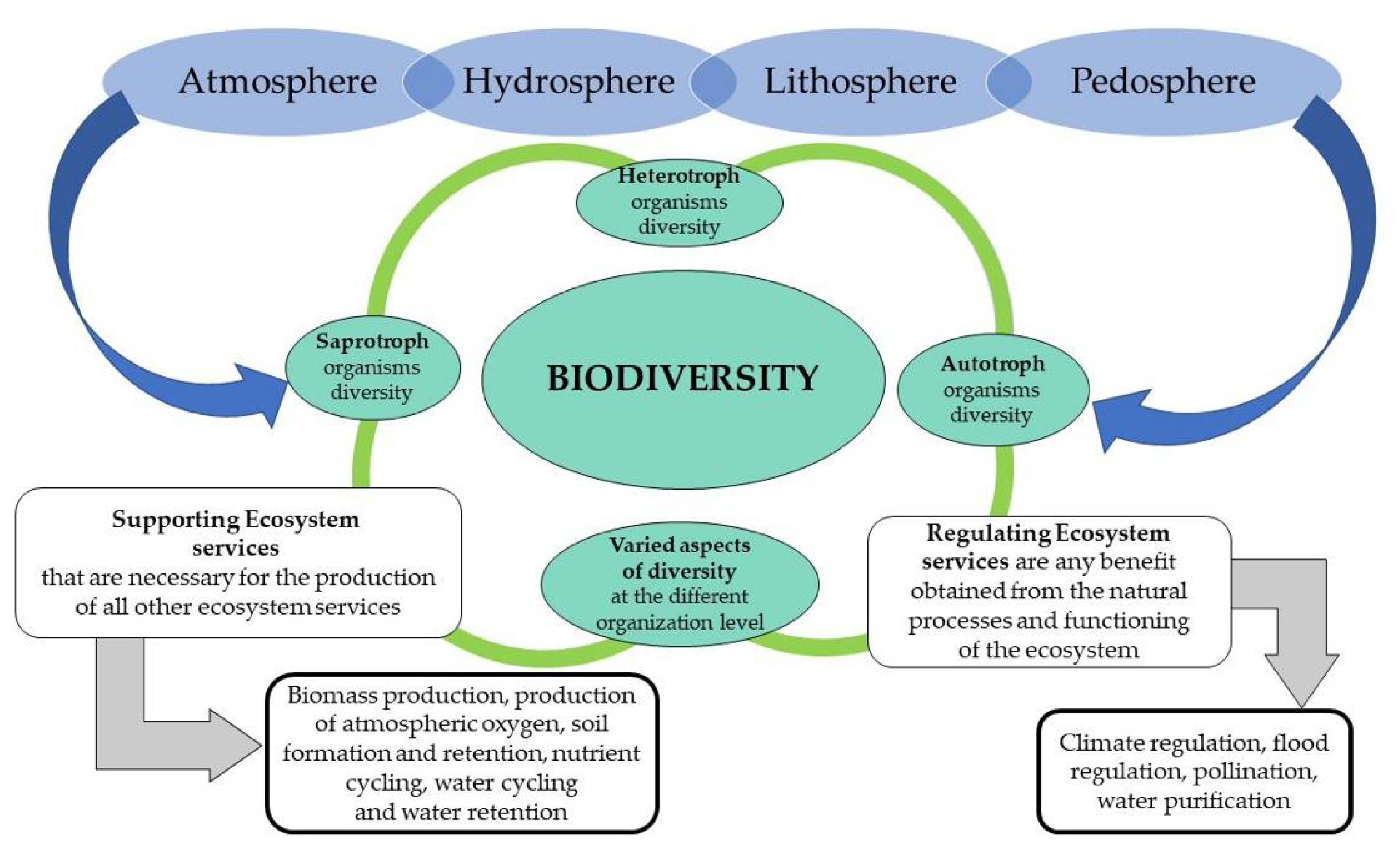 case study novel ecosystems