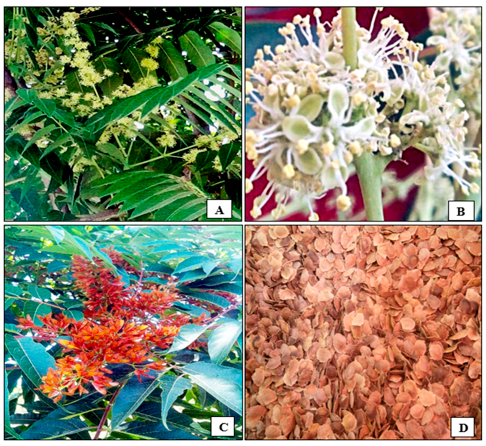 Sustainability 14 10962 g001