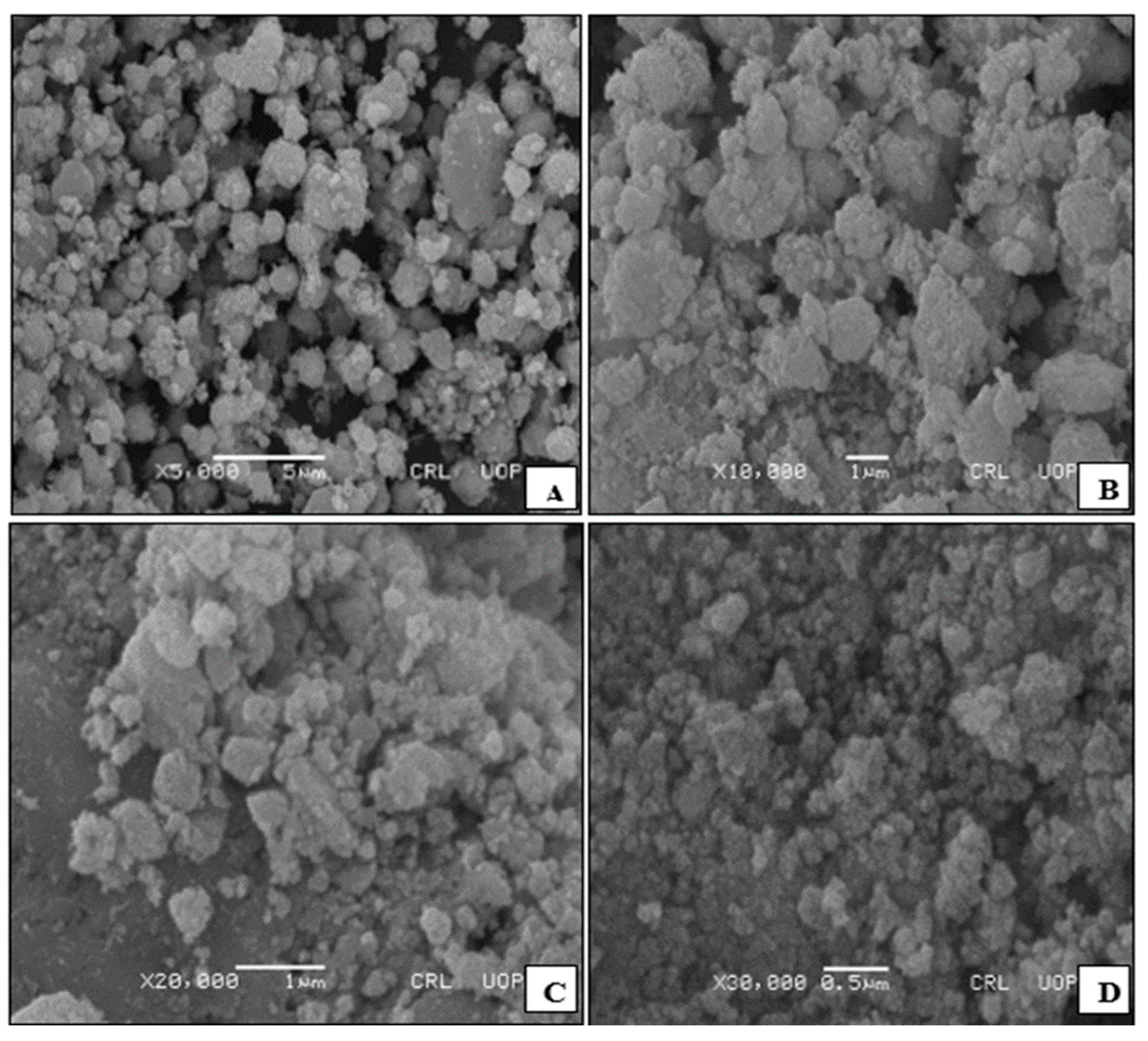 Sustainability 14 10962 g003