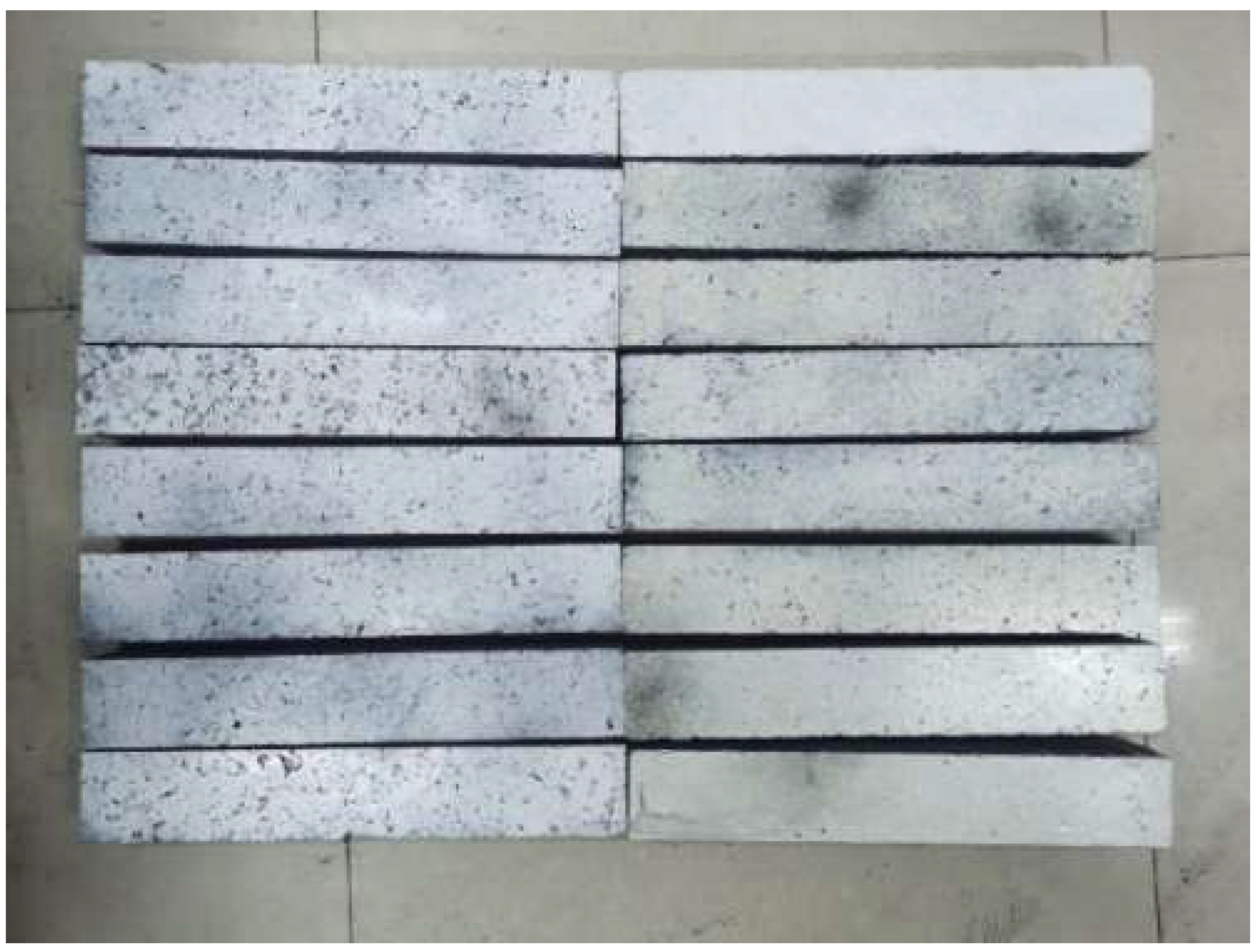 Sustainability 14 10966 g001