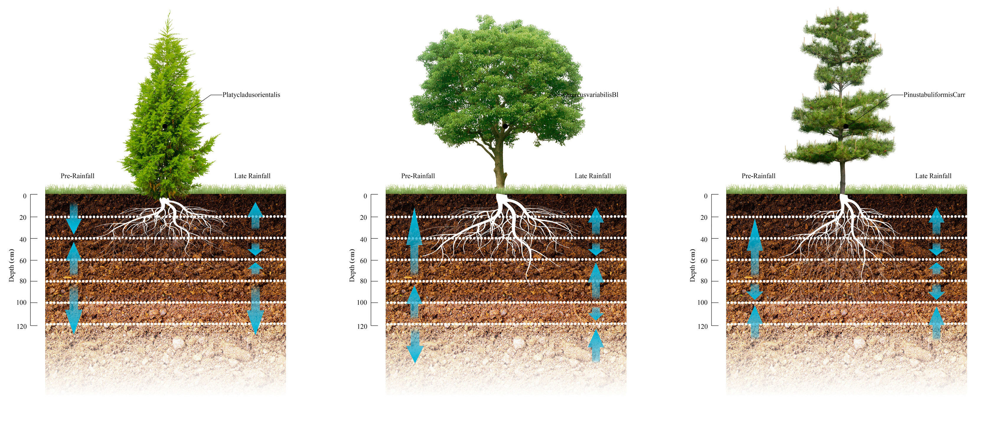 Sustainability 14 11063 g006
