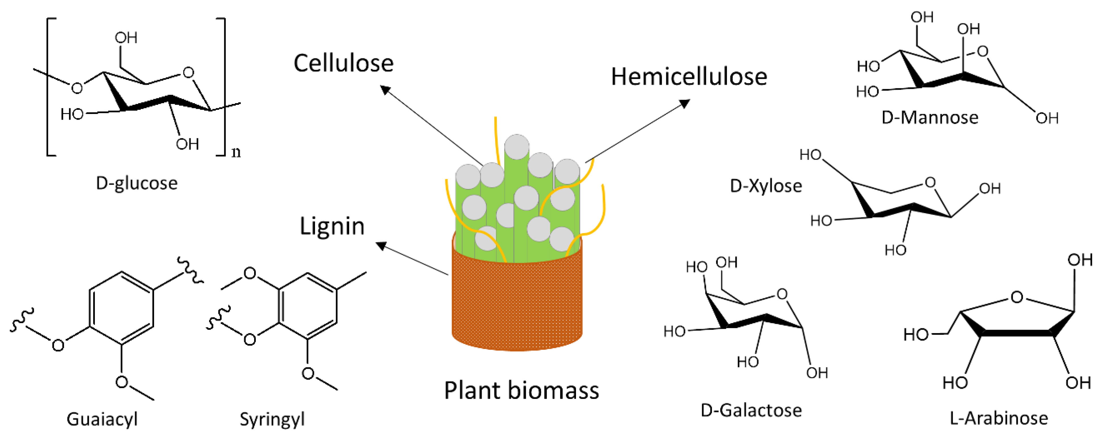 Sustainability 14 11098 g003 Sustainability 14 11098 g003