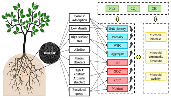 Sustainability | Free Full-Text | Application of Biochar for Improving  Physical, Chemical, and Hydrological Soil Properties: A Systematic Review