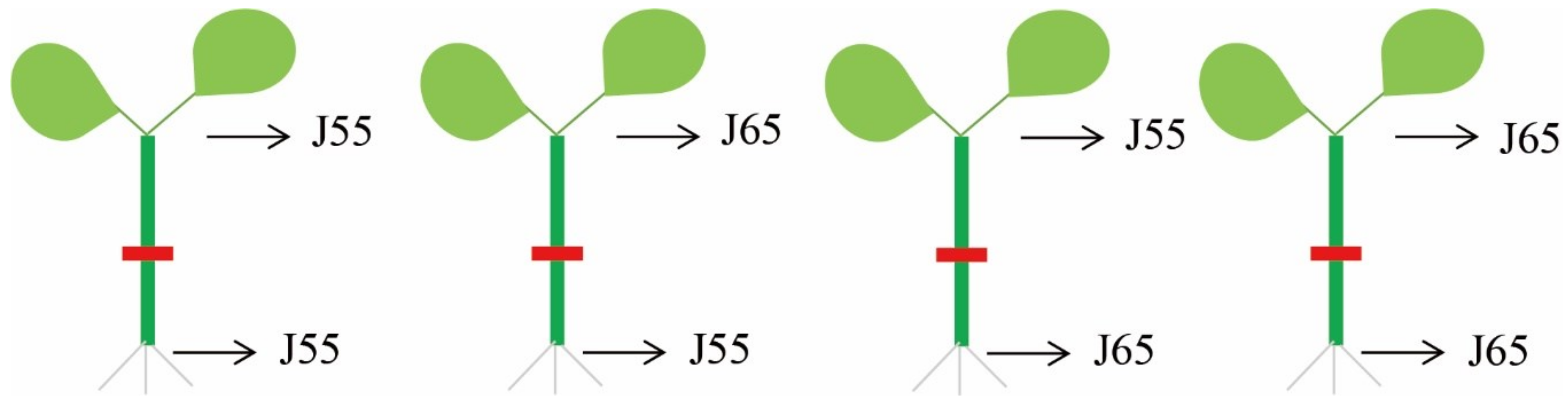 Sustainability 14 11170 g001