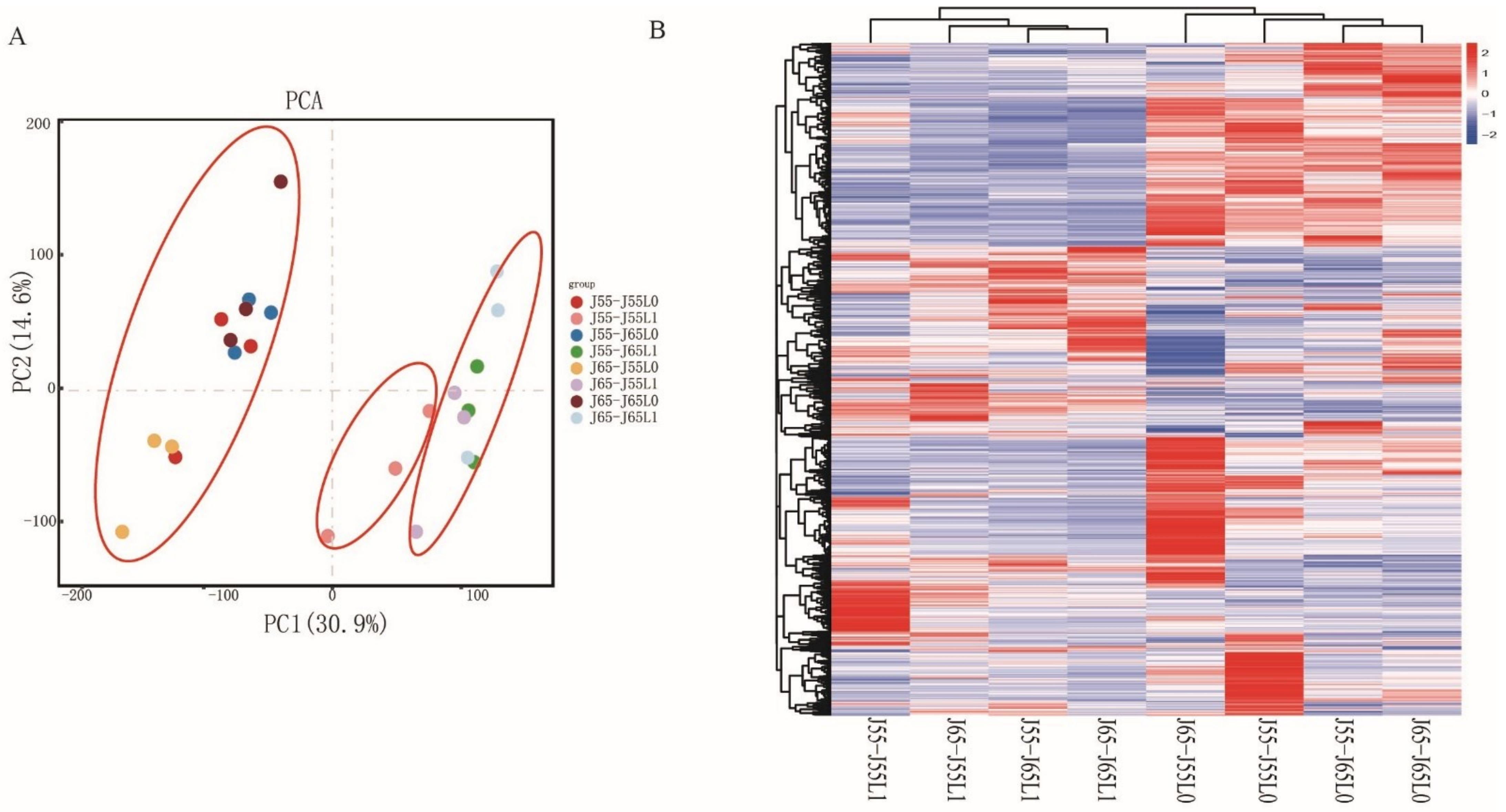 Sustainability 14 11170 g003