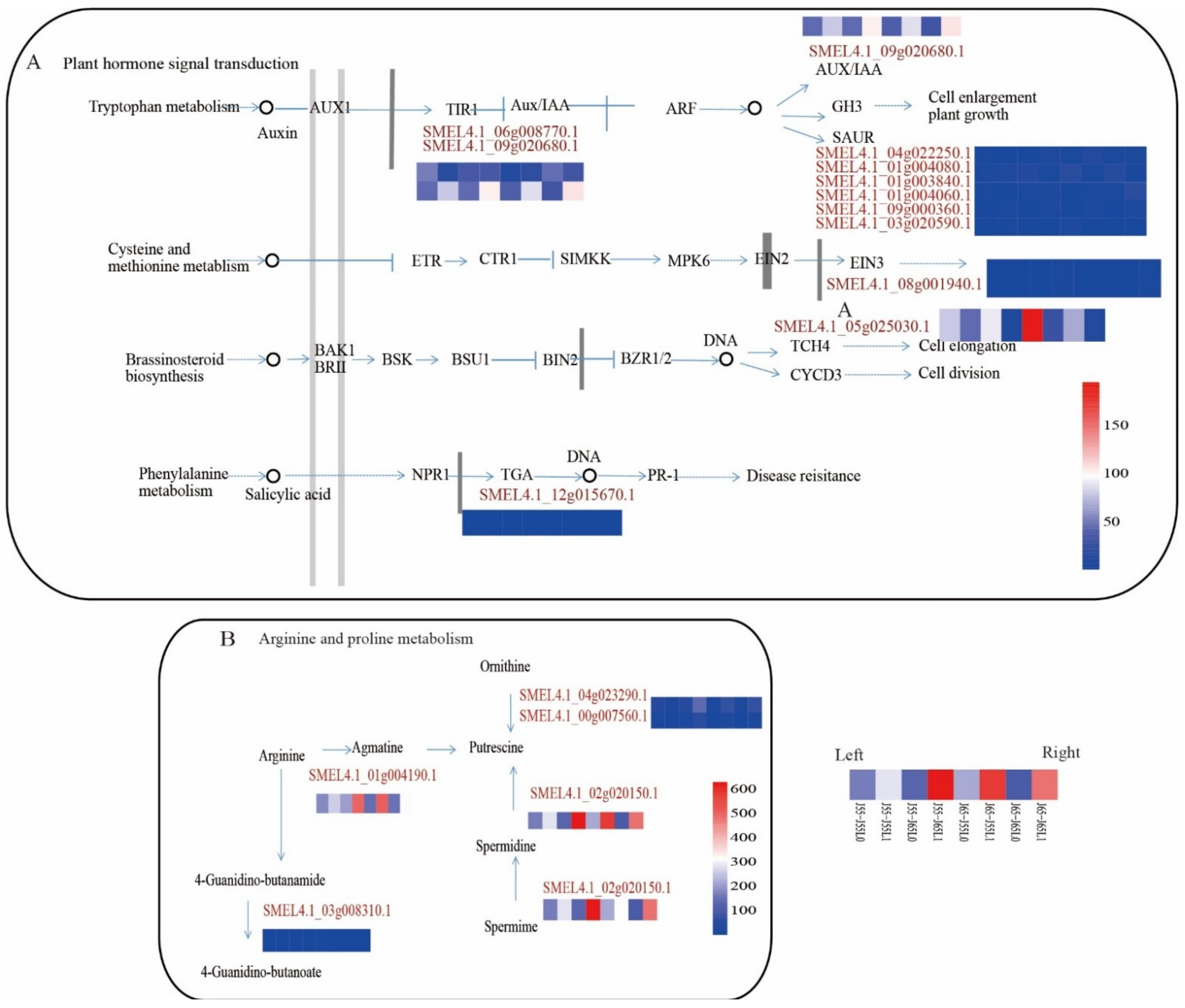Sustainability 14 11170 g008