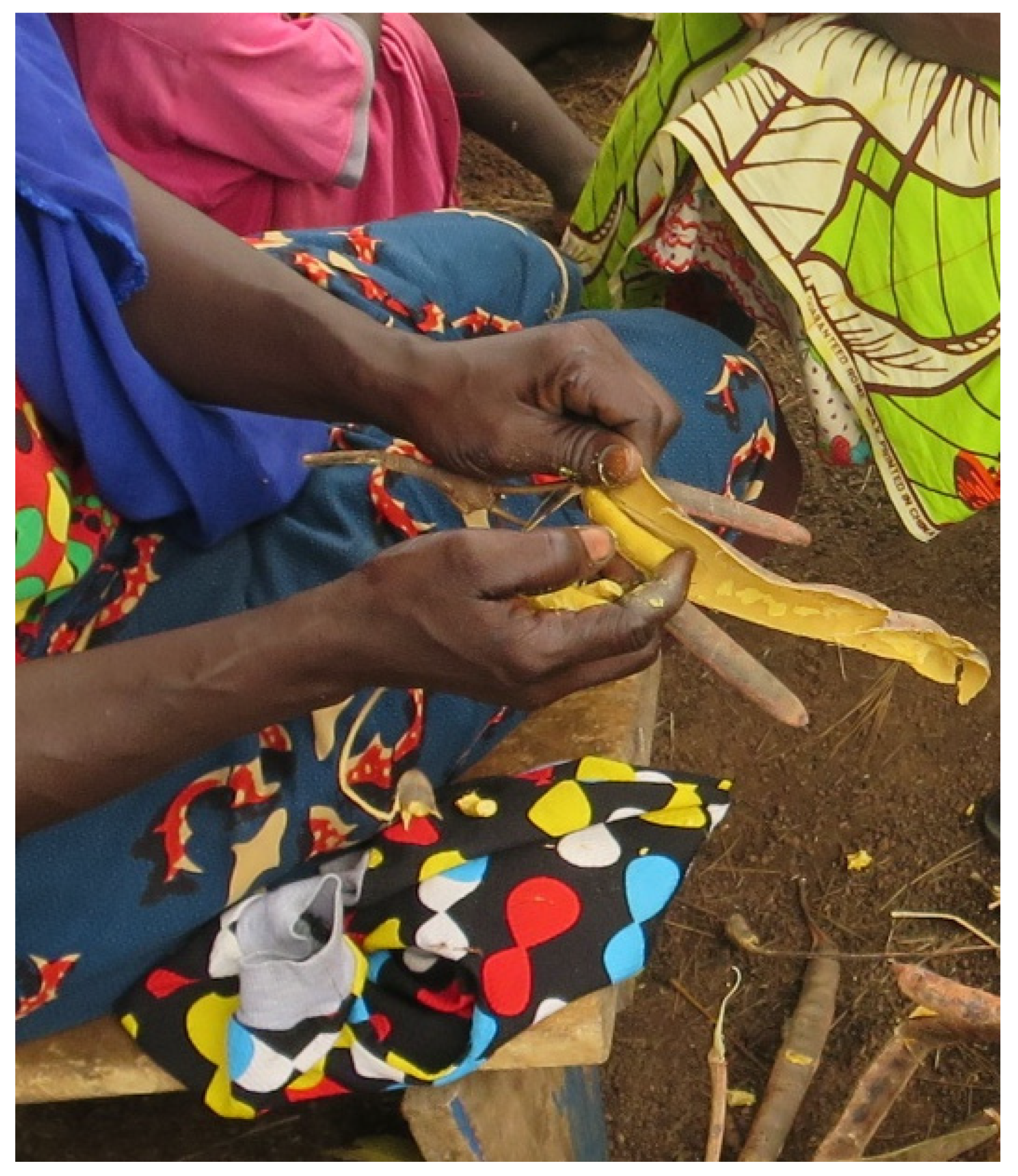 Sustainability 14 11302 g003 Sustainability 14 11302 g003