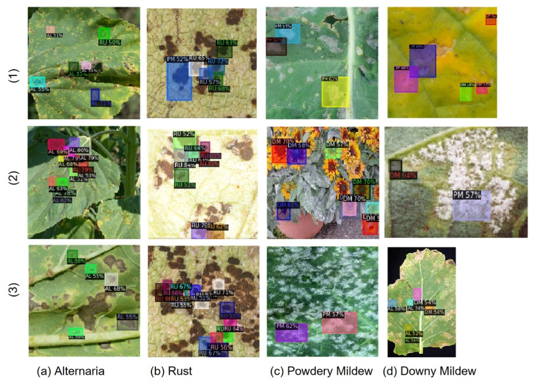 Sustainability 14 11312 g006