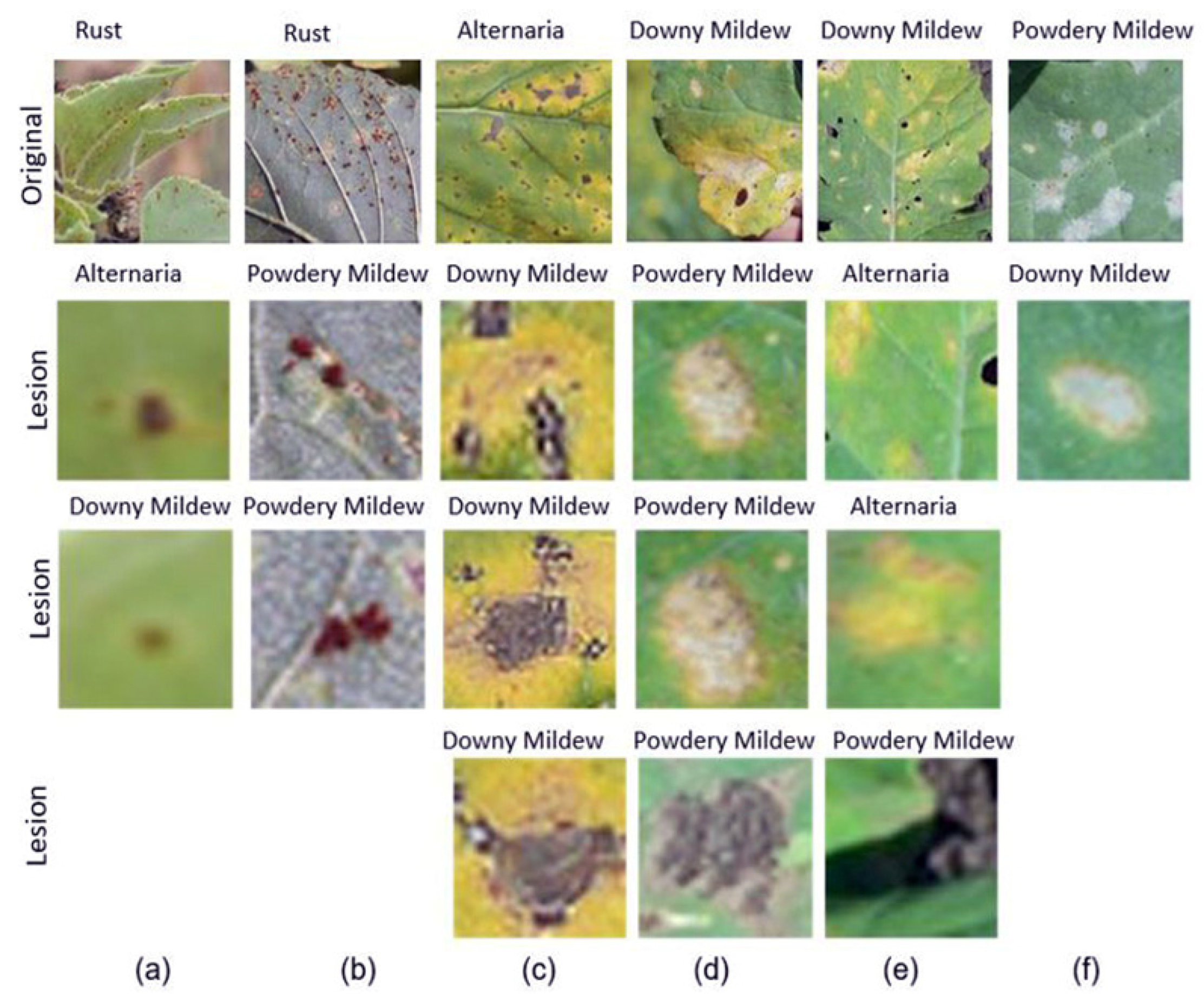 Sustainability 14 11312 g013