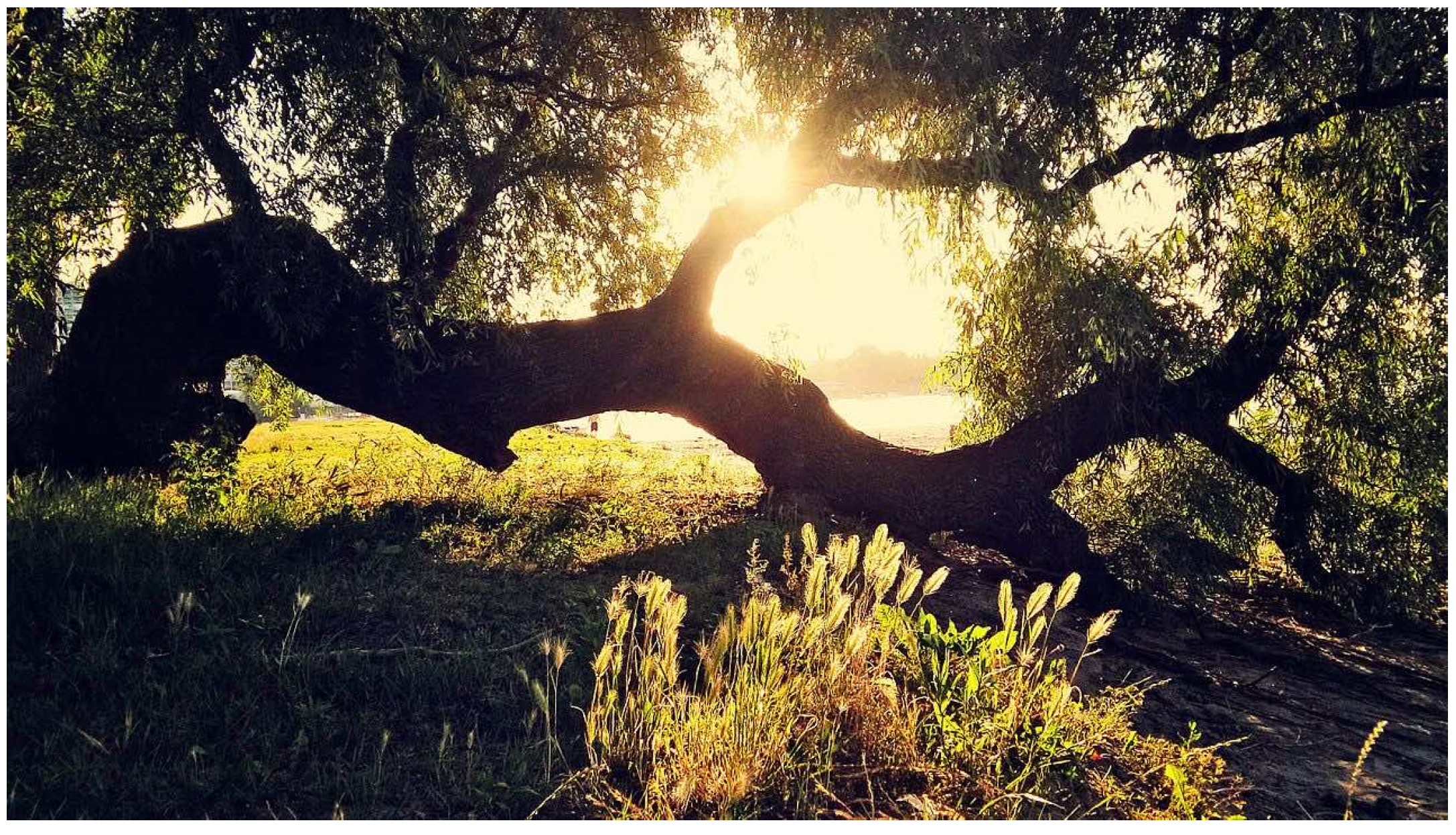 Sustainability 14 11445 g002